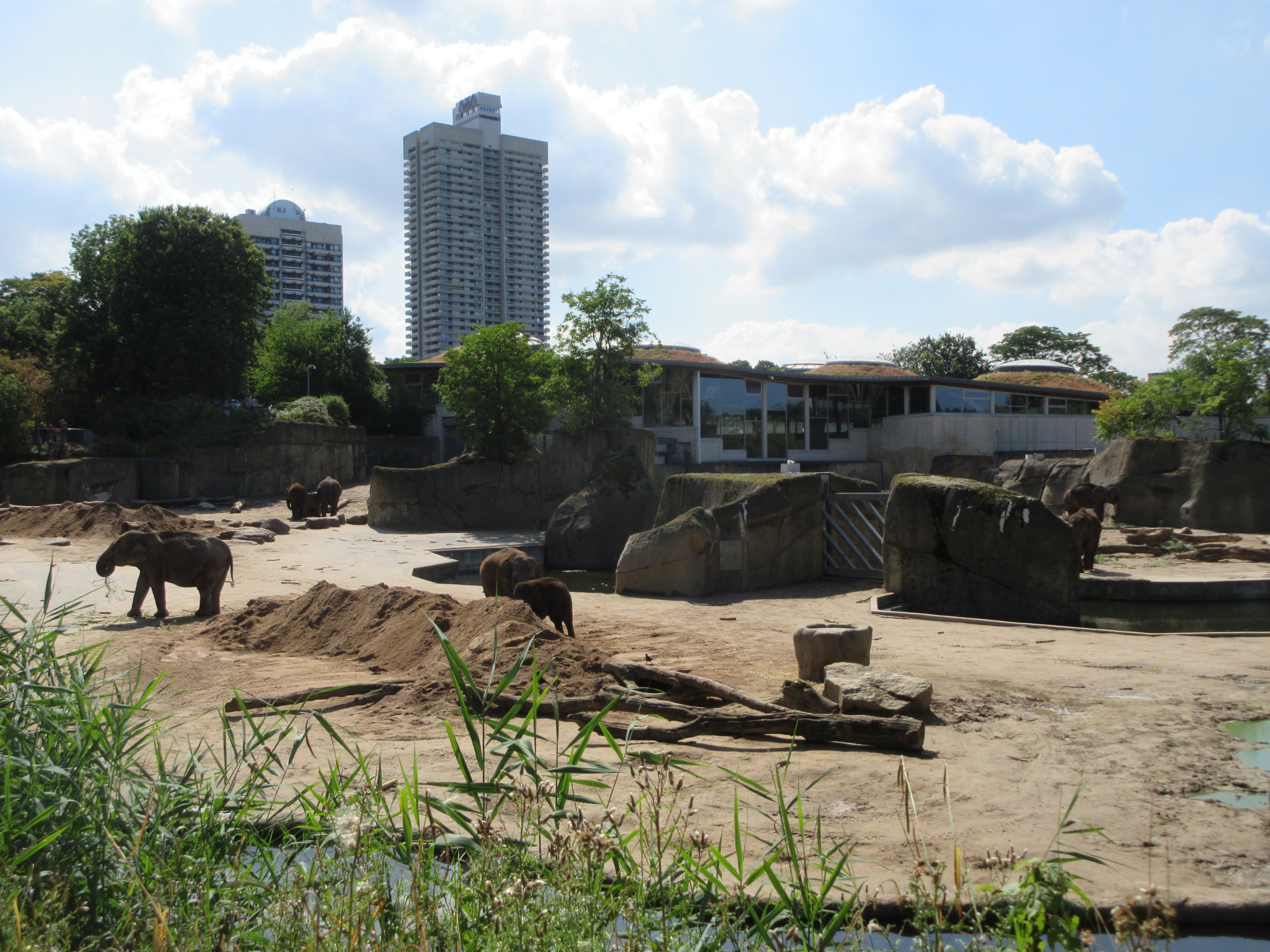 Asian Elephant Exhibit - multiple viewing areas