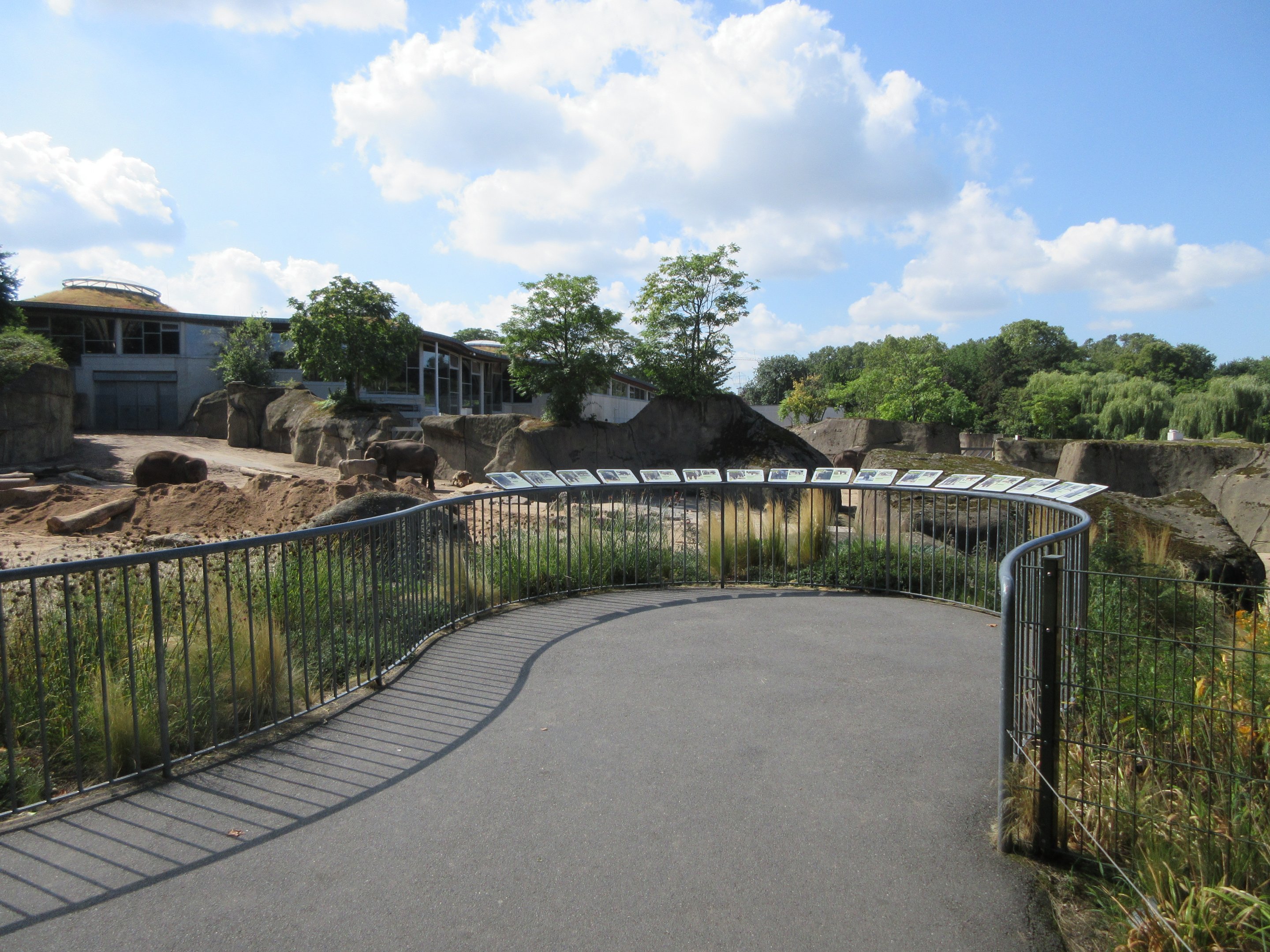 Asian Elephant Exhibit - multiple viewing areas