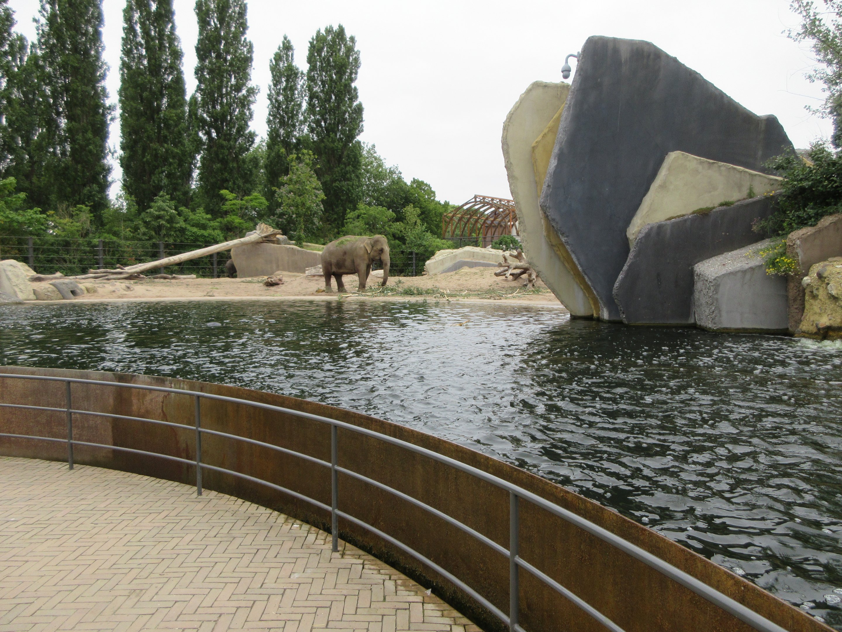 Asian Elephant Exhibit Pool