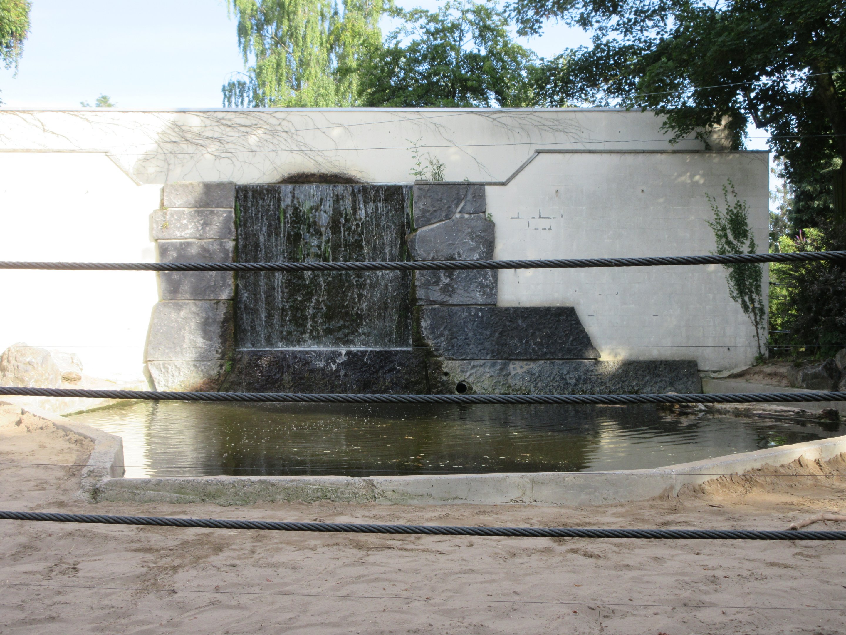 Asian Elephant Exhibit - Pool