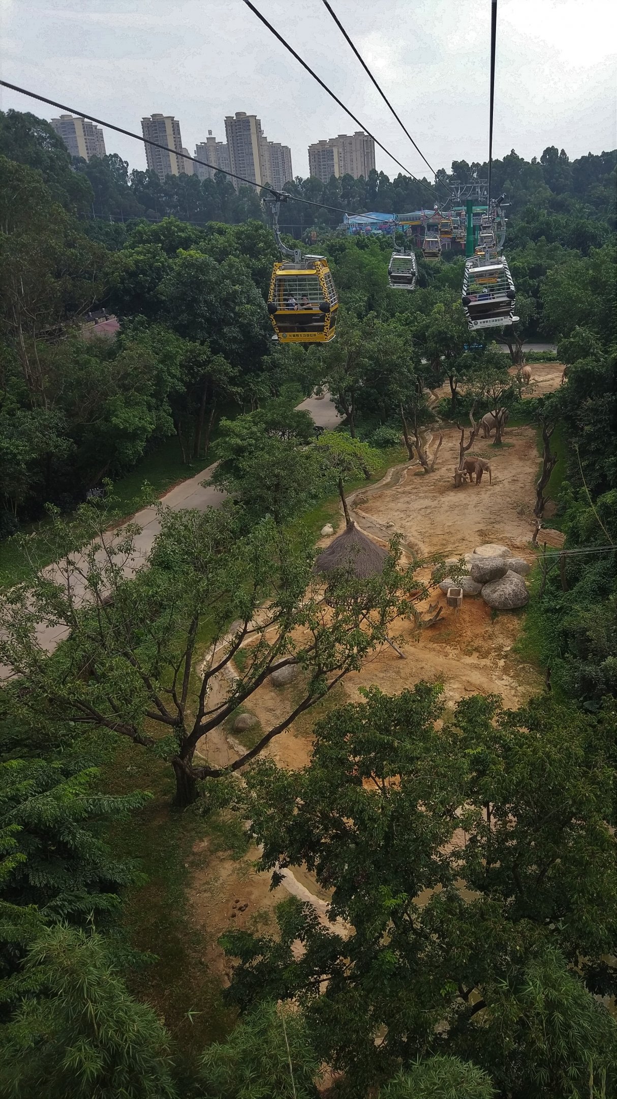 Asian Elephant Exhibit, seen from Cable Car