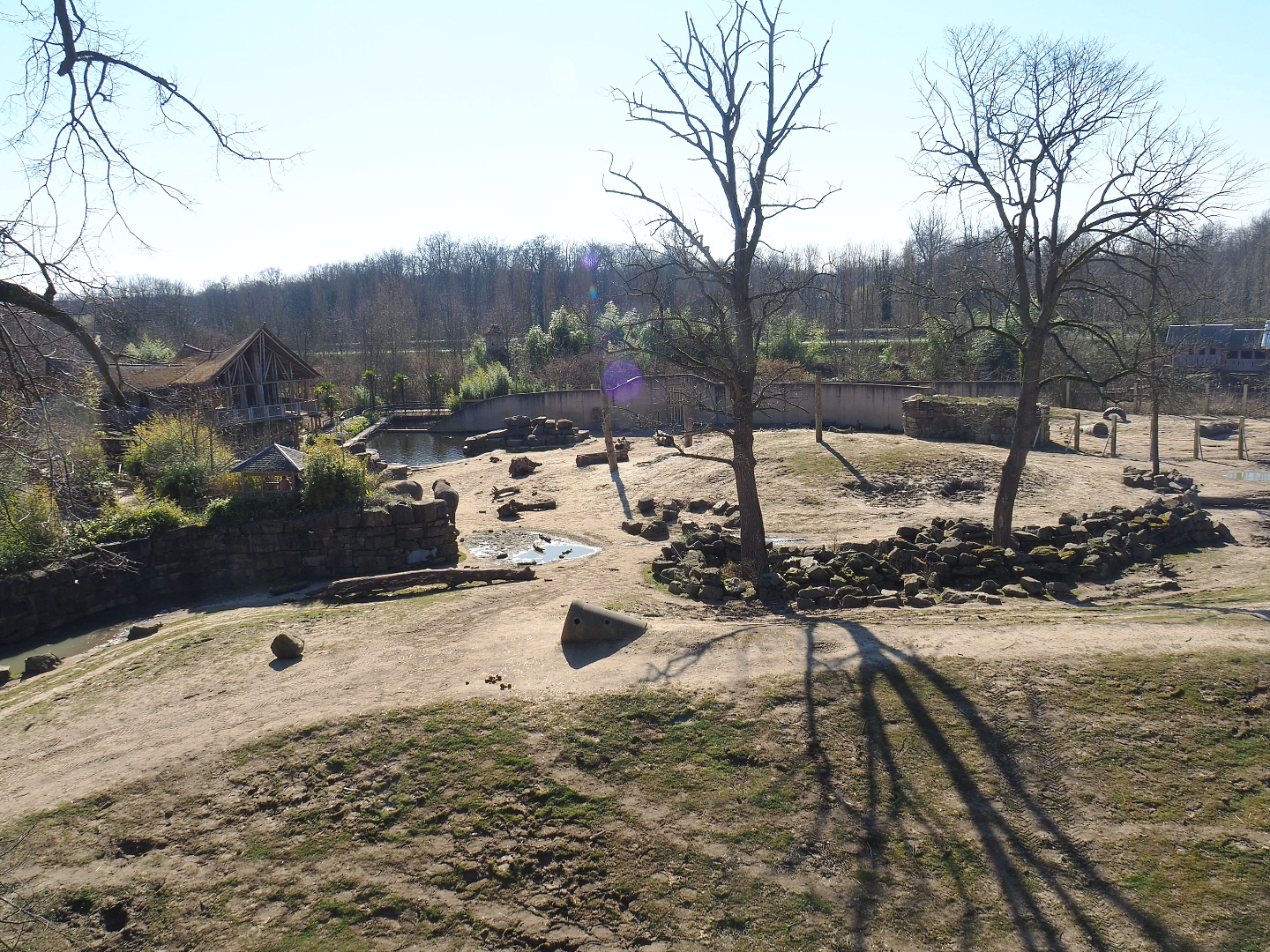 Asian elephant exhibit seen from the tree-top walk, 2022-03-08