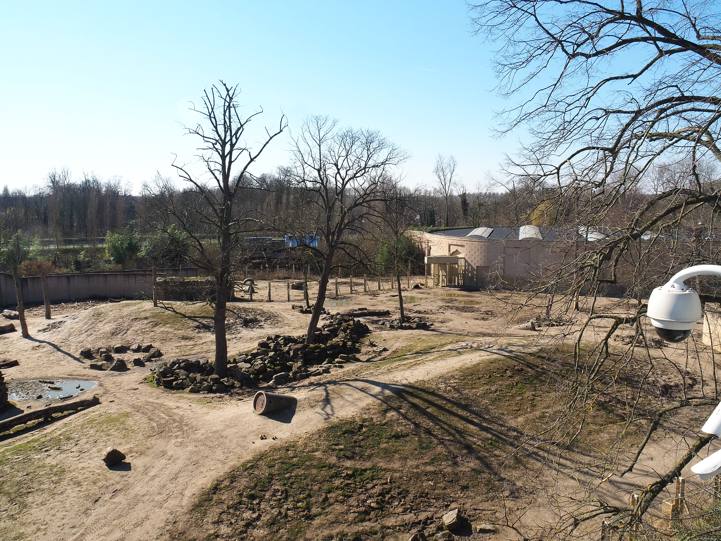 Asian elephant exhibit seen from the tree-top walk, 2022-03-08