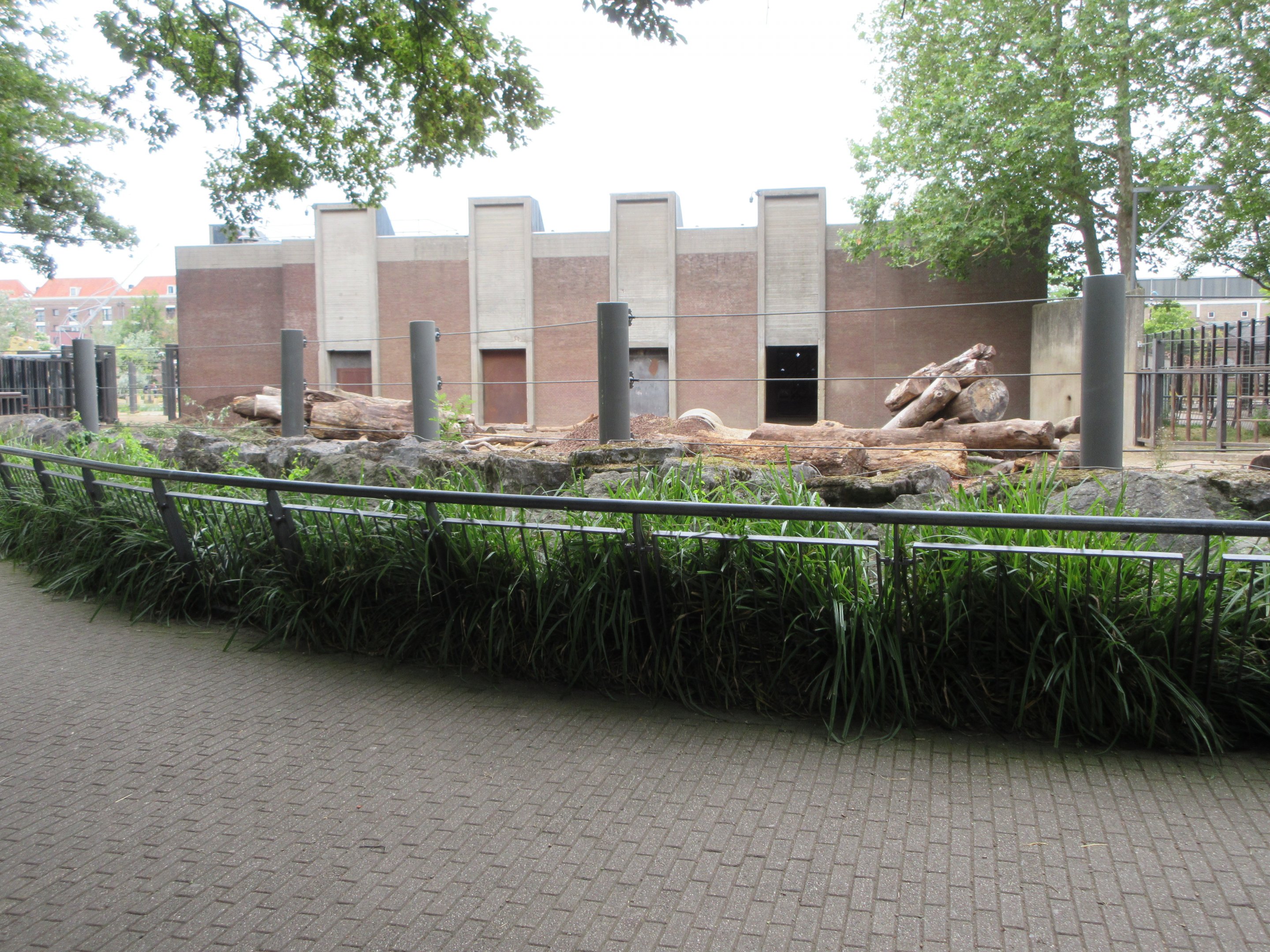 Asian Elephant Exhibit - side yard