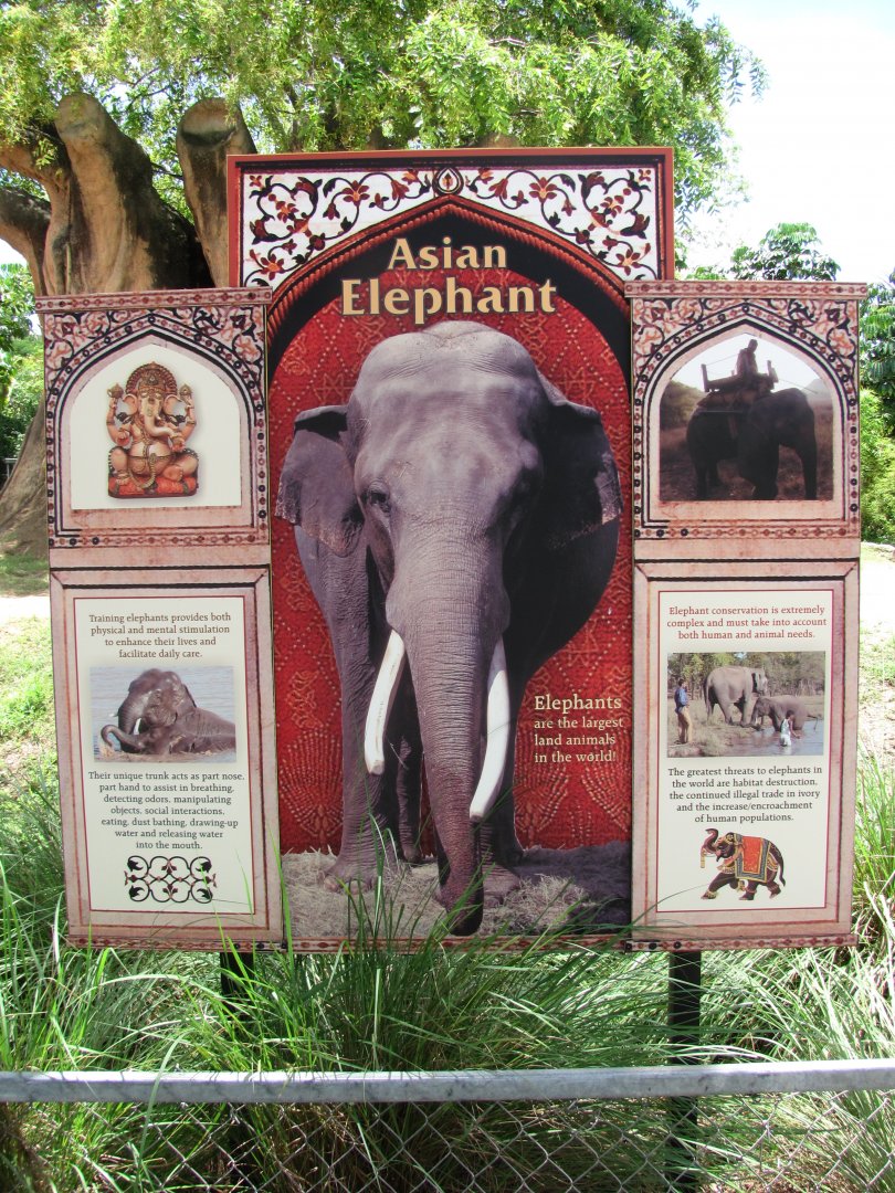 Asian Elephant Exhibit Sign