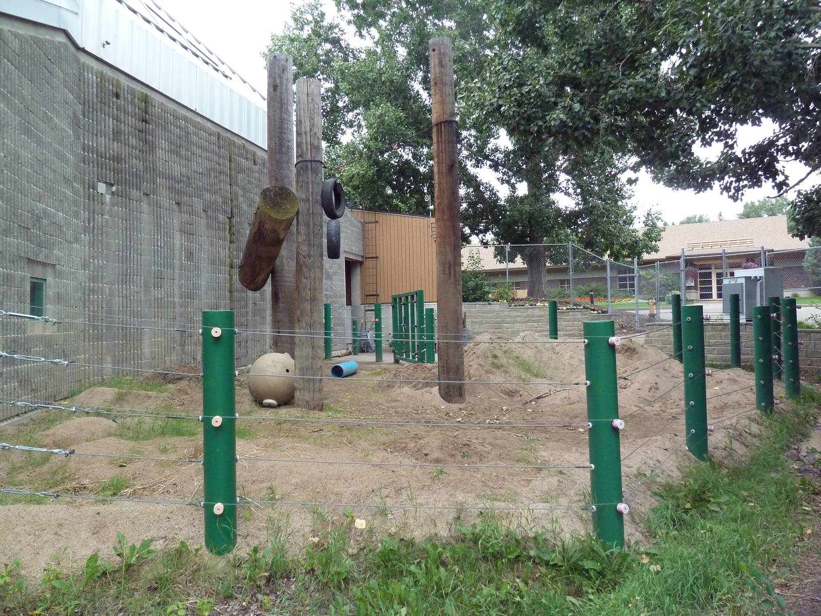 Asian Elephant Exhibit - Small Side Yard