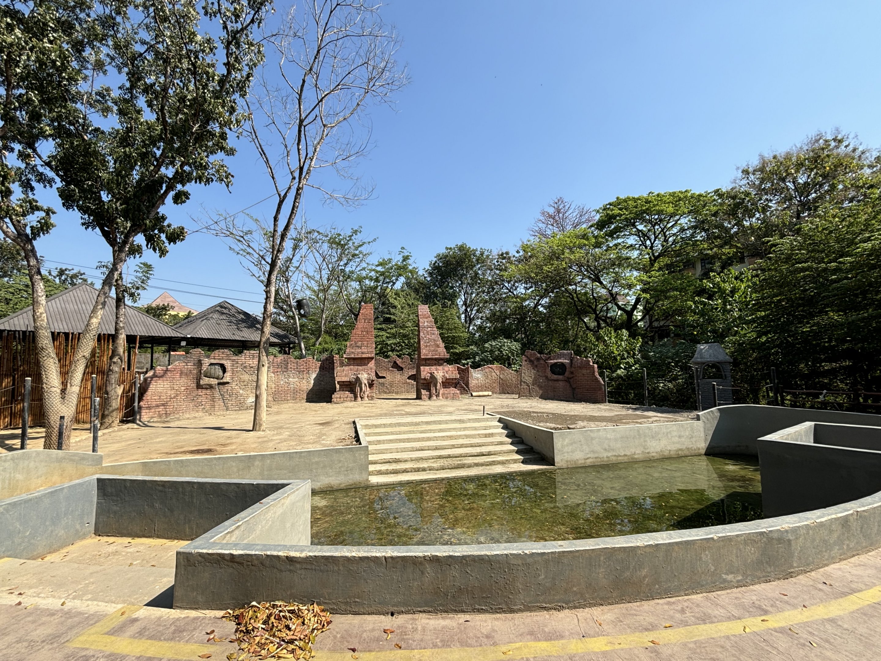 Asian Elephant Exhibit - Solo Safari