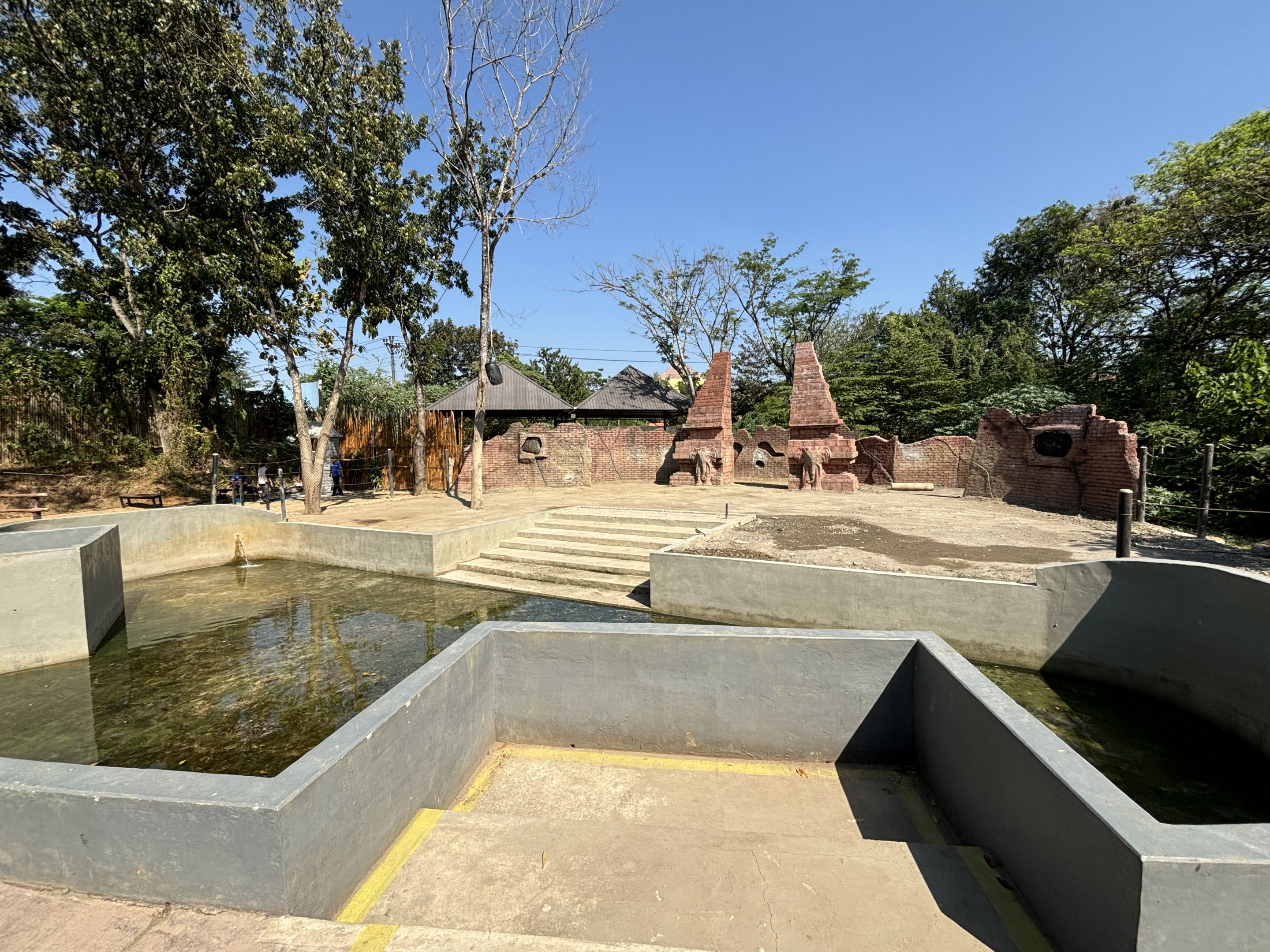 Asian Elephant Exhibit - Solo Safari