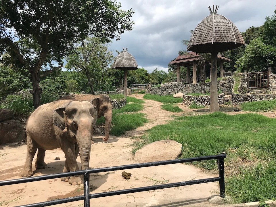 Asian Elephant Exhibit , Songkhla Zoo