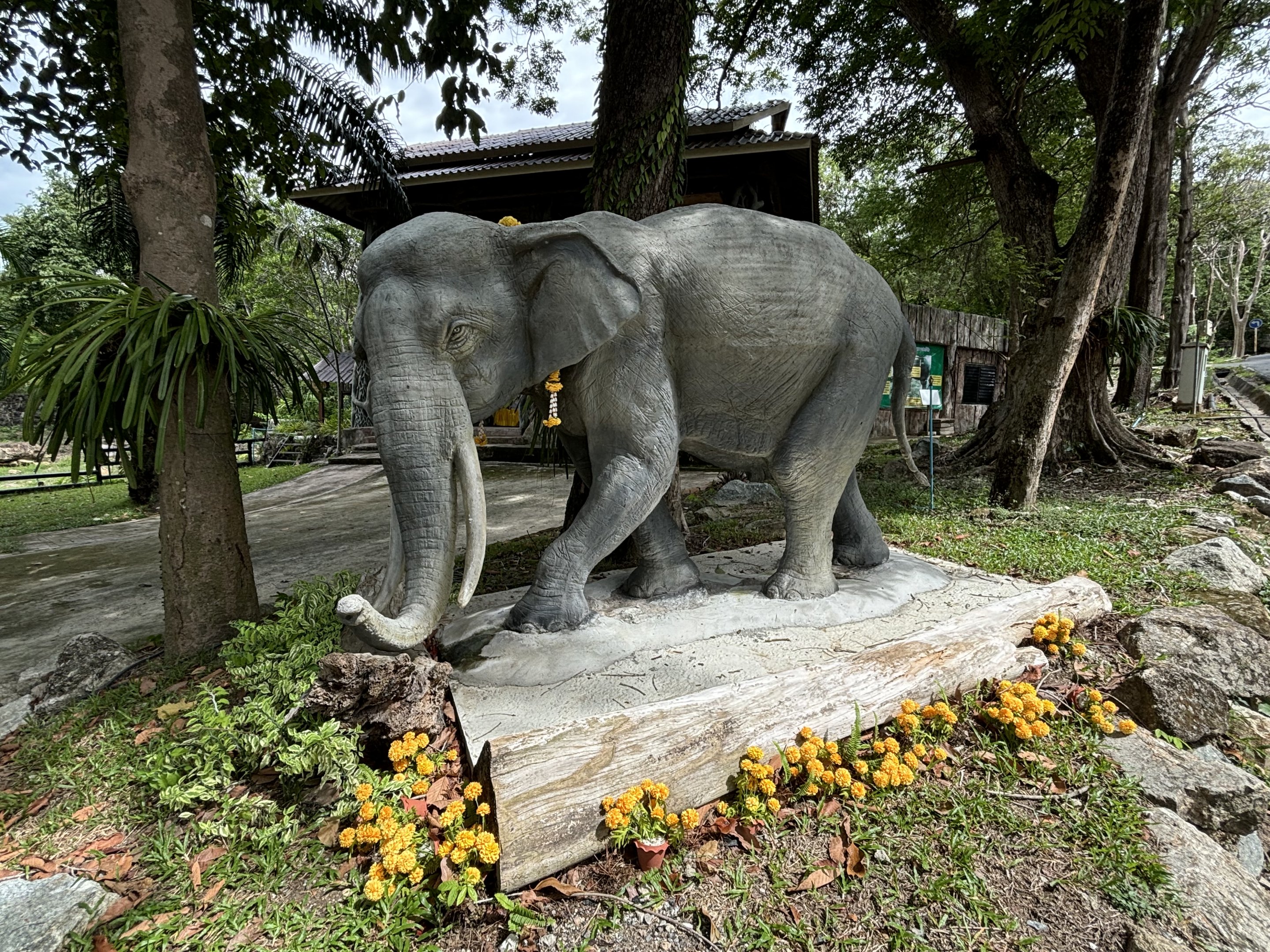 Asian Elephant Exhibit - statue