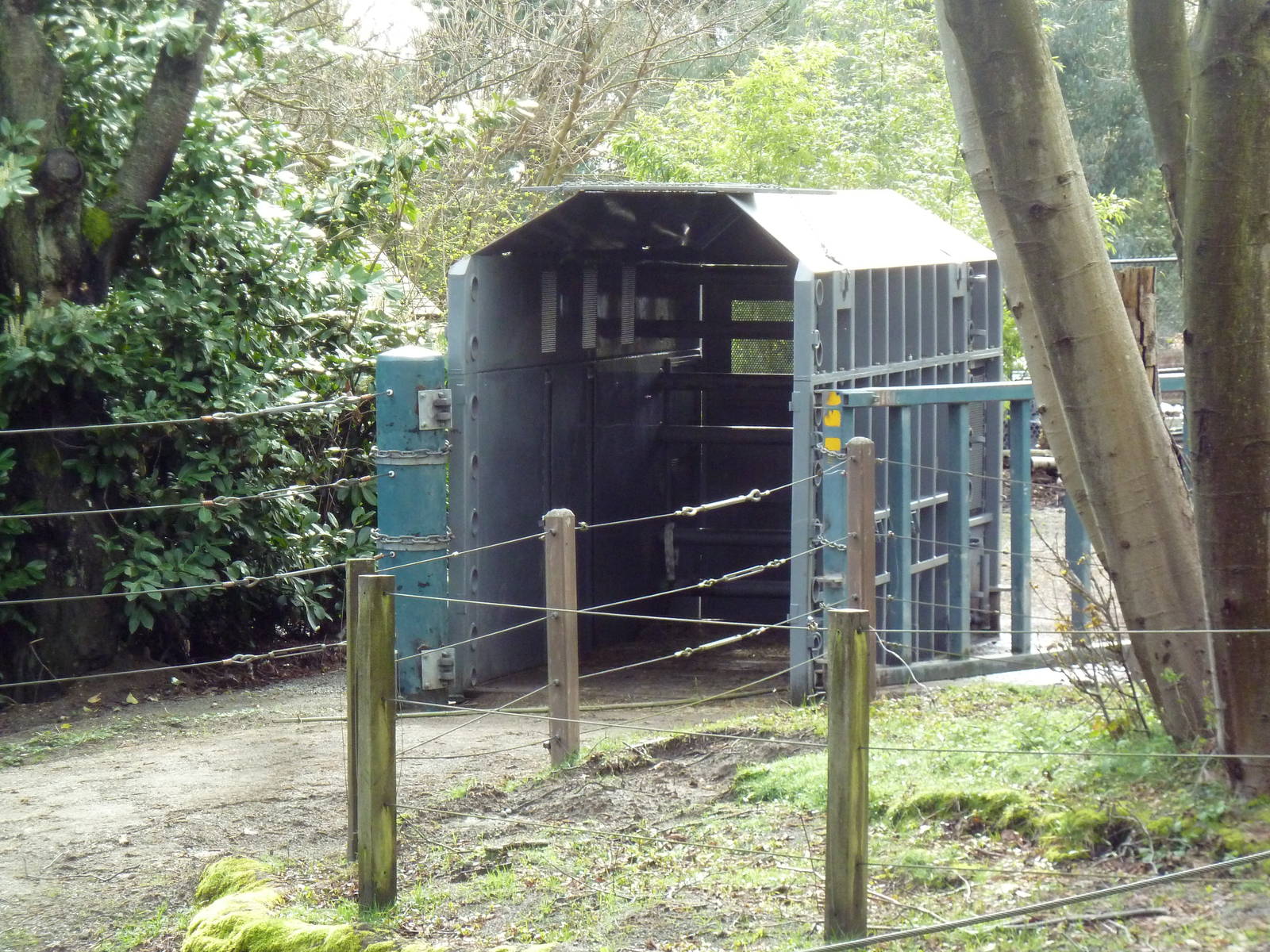 Asian Elephant Exhibit - Travel Crate