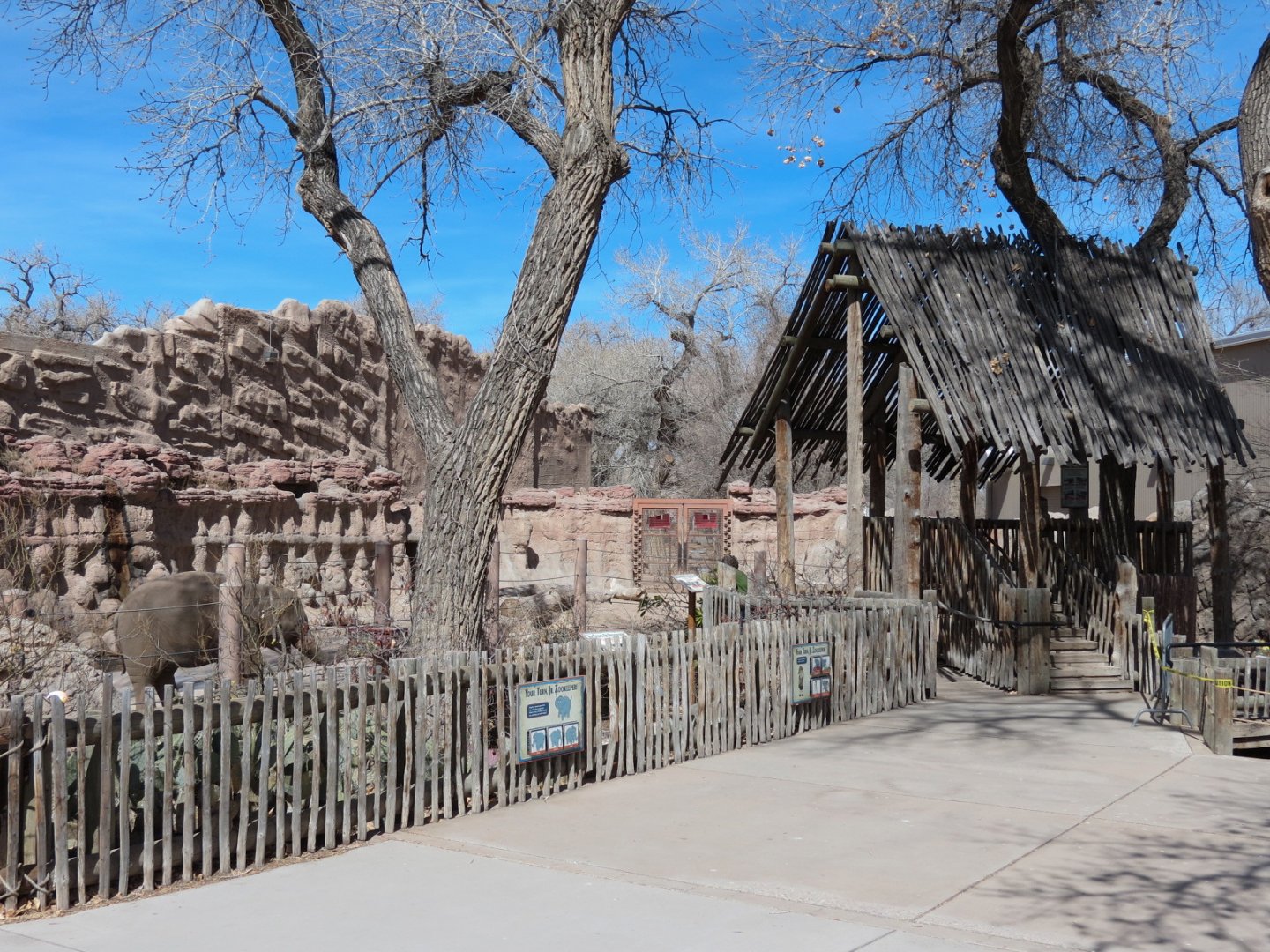 Asian Elephant Exhibit - Viewing Area