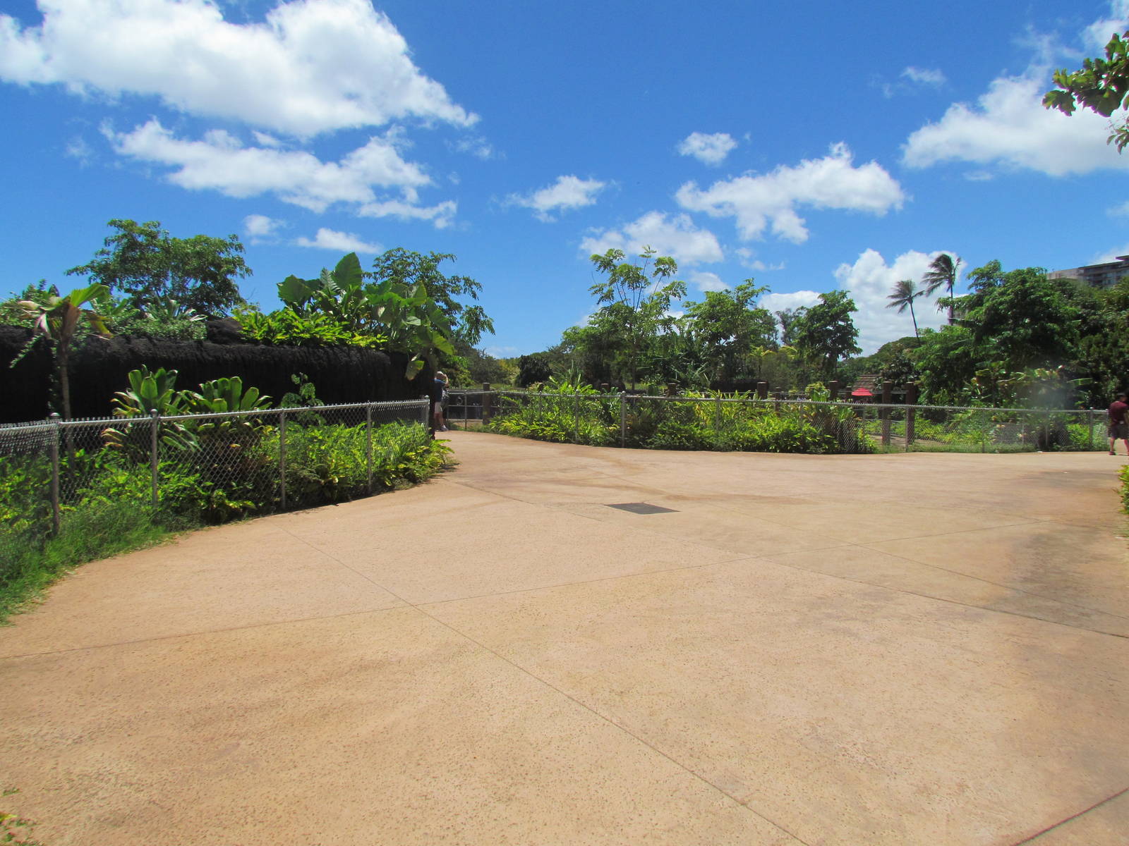 Asian Elephant Exhibit - Walkway