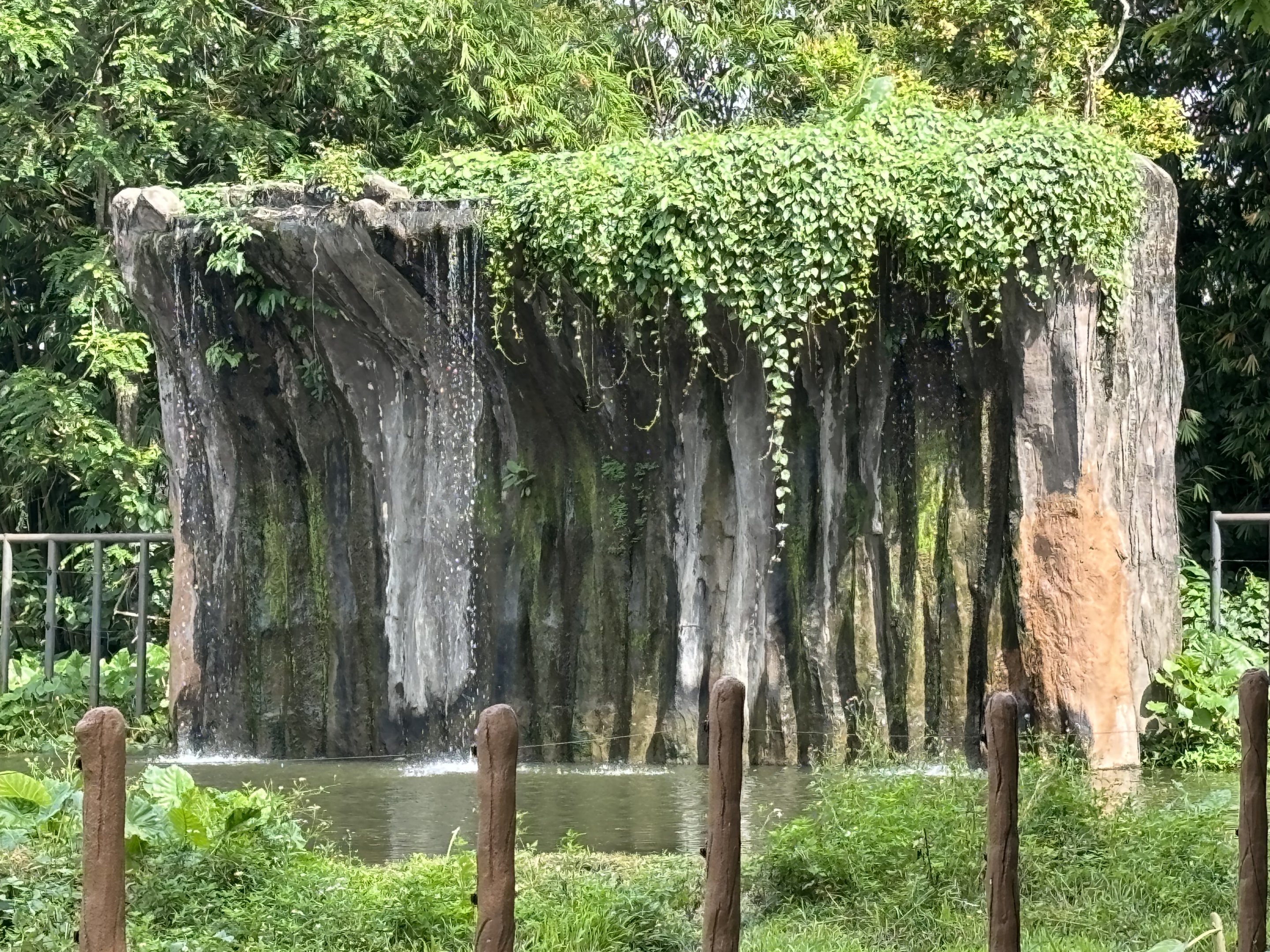 Asian Elephant Exhibit - waterfall