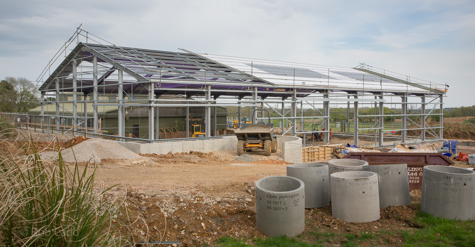 Asian elephant (exhibit) : Whipsnade : 07 May 2016