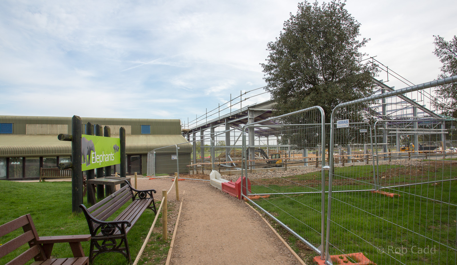 Asian elephant (exhibit) : Whipsnade : 07 May 2016
