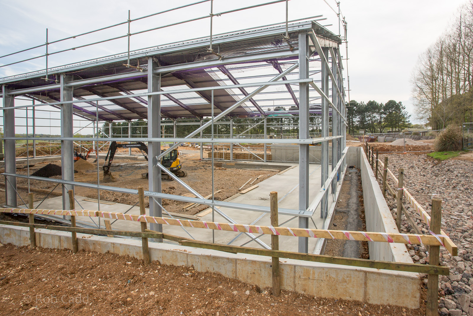 Asian elephant (exhibit) : Whipsnade : 07 May 2016