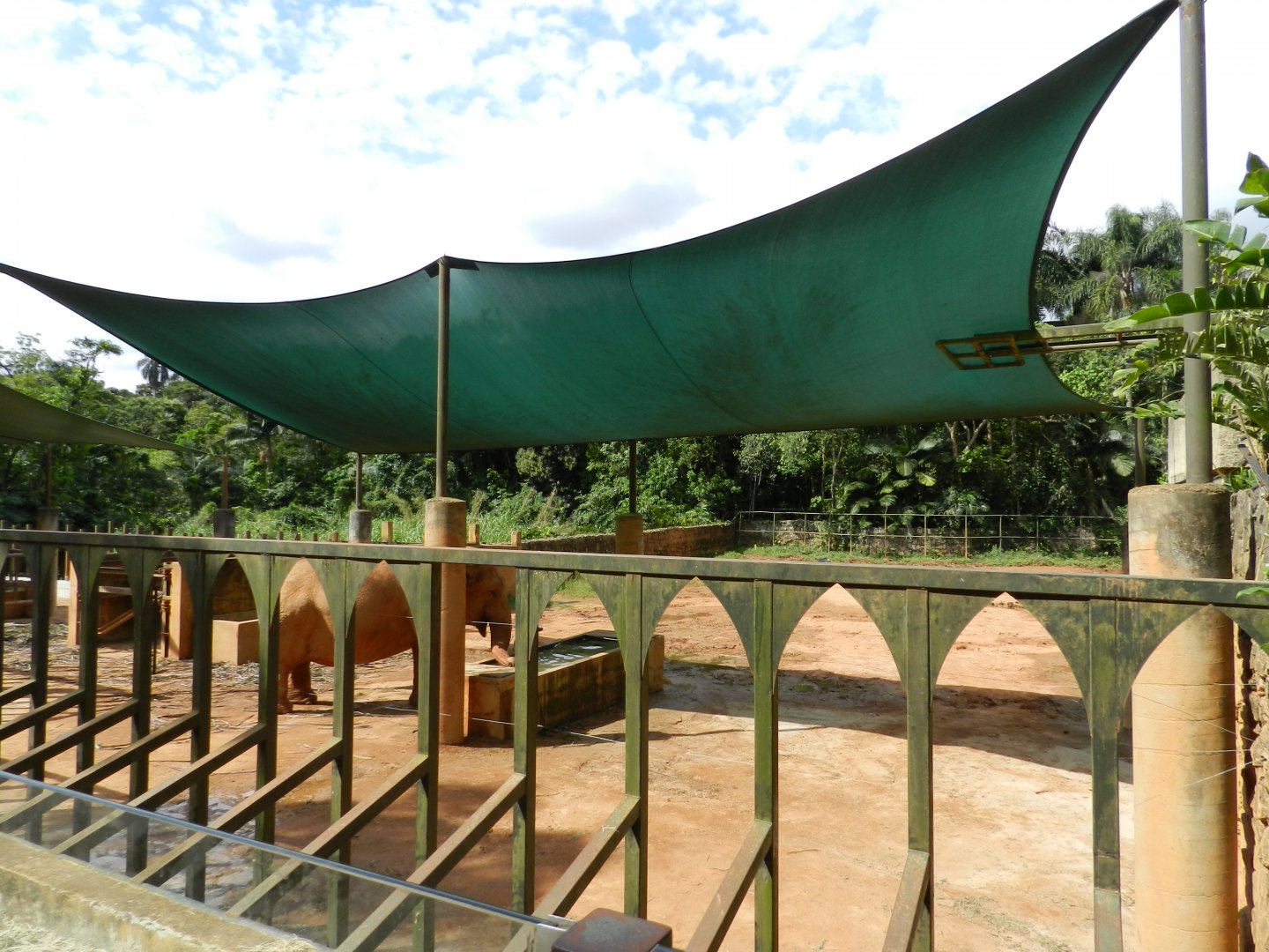 Asian elephant exhibit - Zoo São Paulo