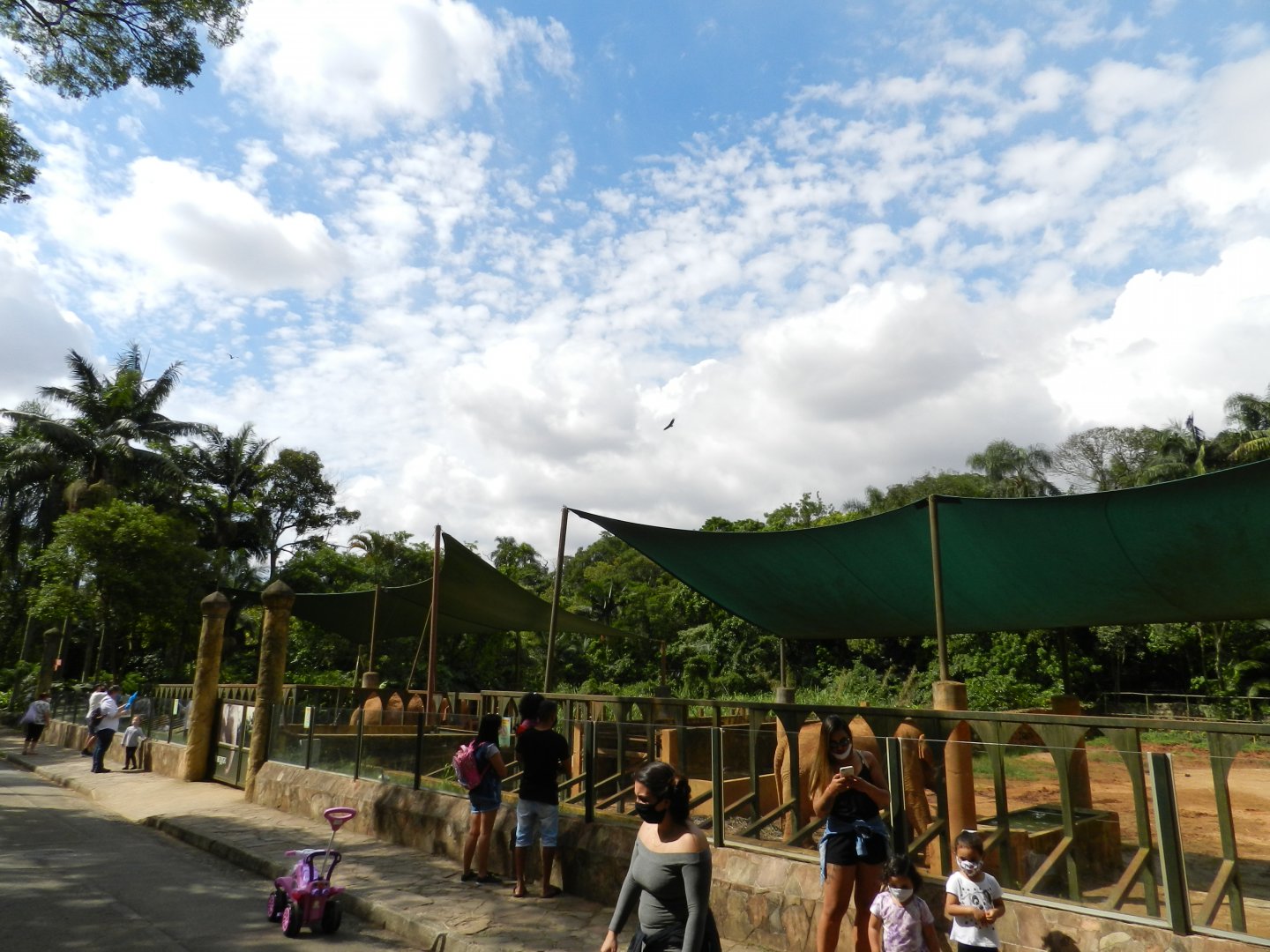 Asian elephant exhibit - Zoo São Paulo