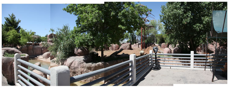 asian elephant exhibit