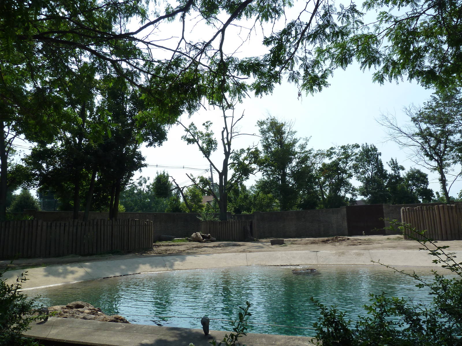Asian Elephant Exhibit