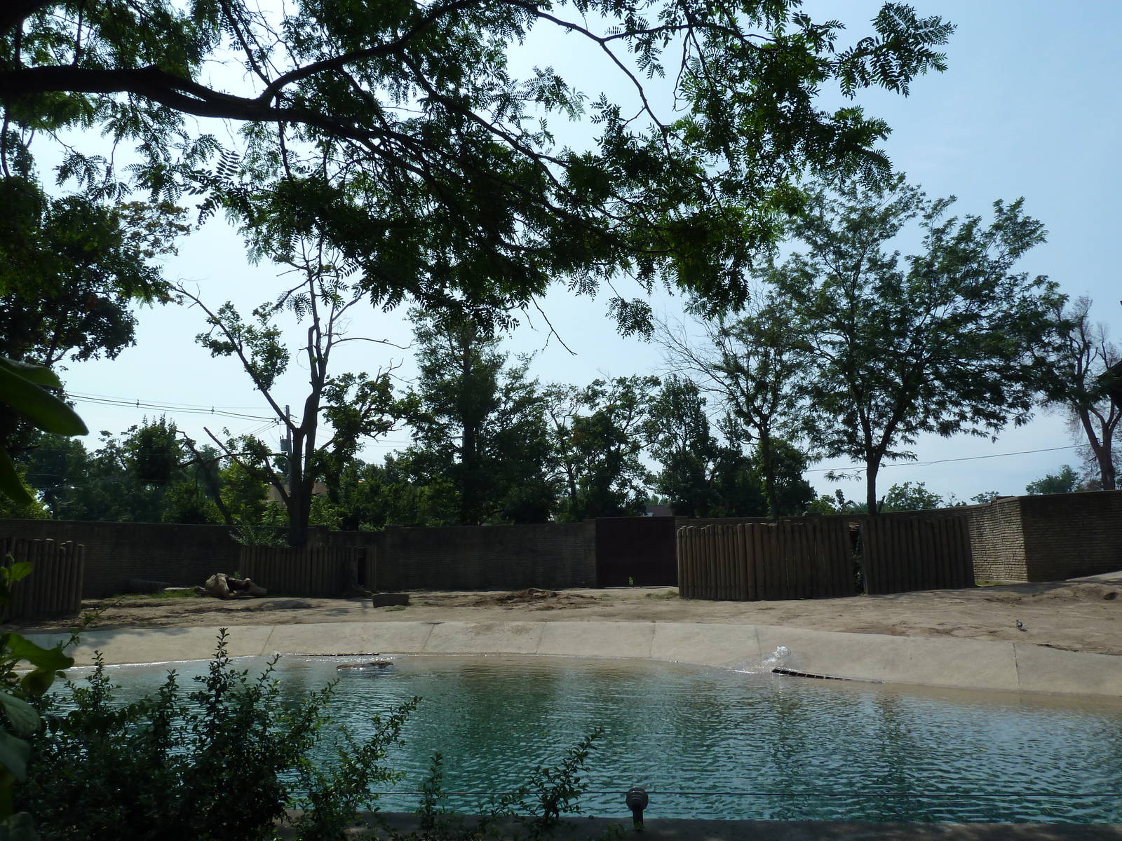 Asian Elephant Exhibit