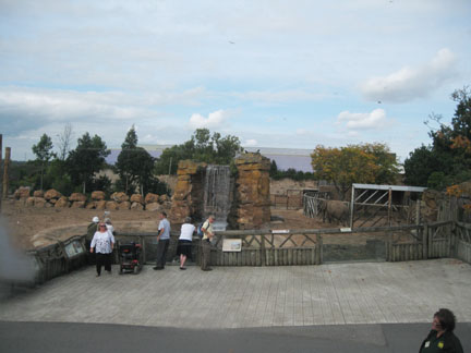 asian elephant exhibit