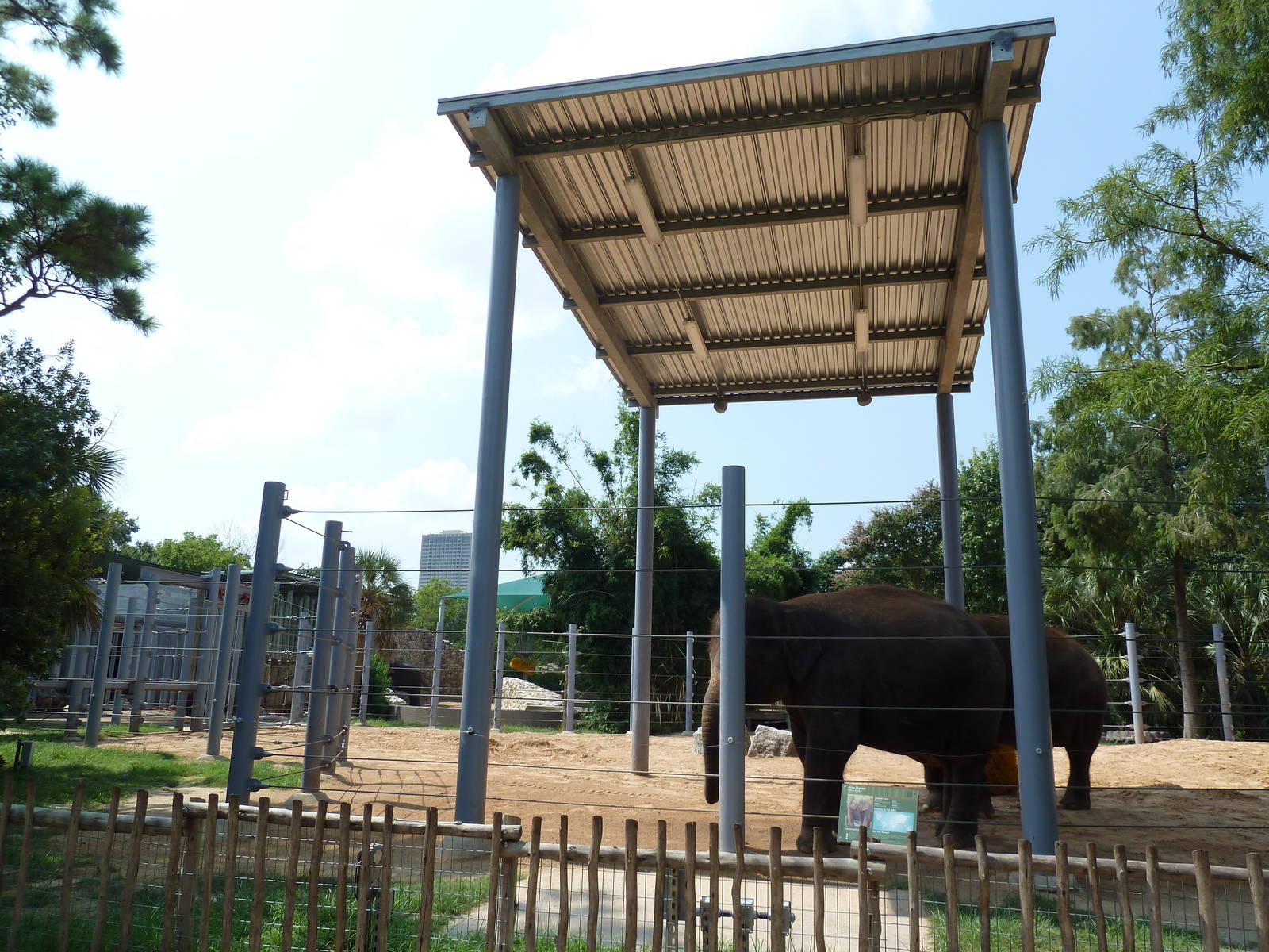 Asian Elephant Exhibit