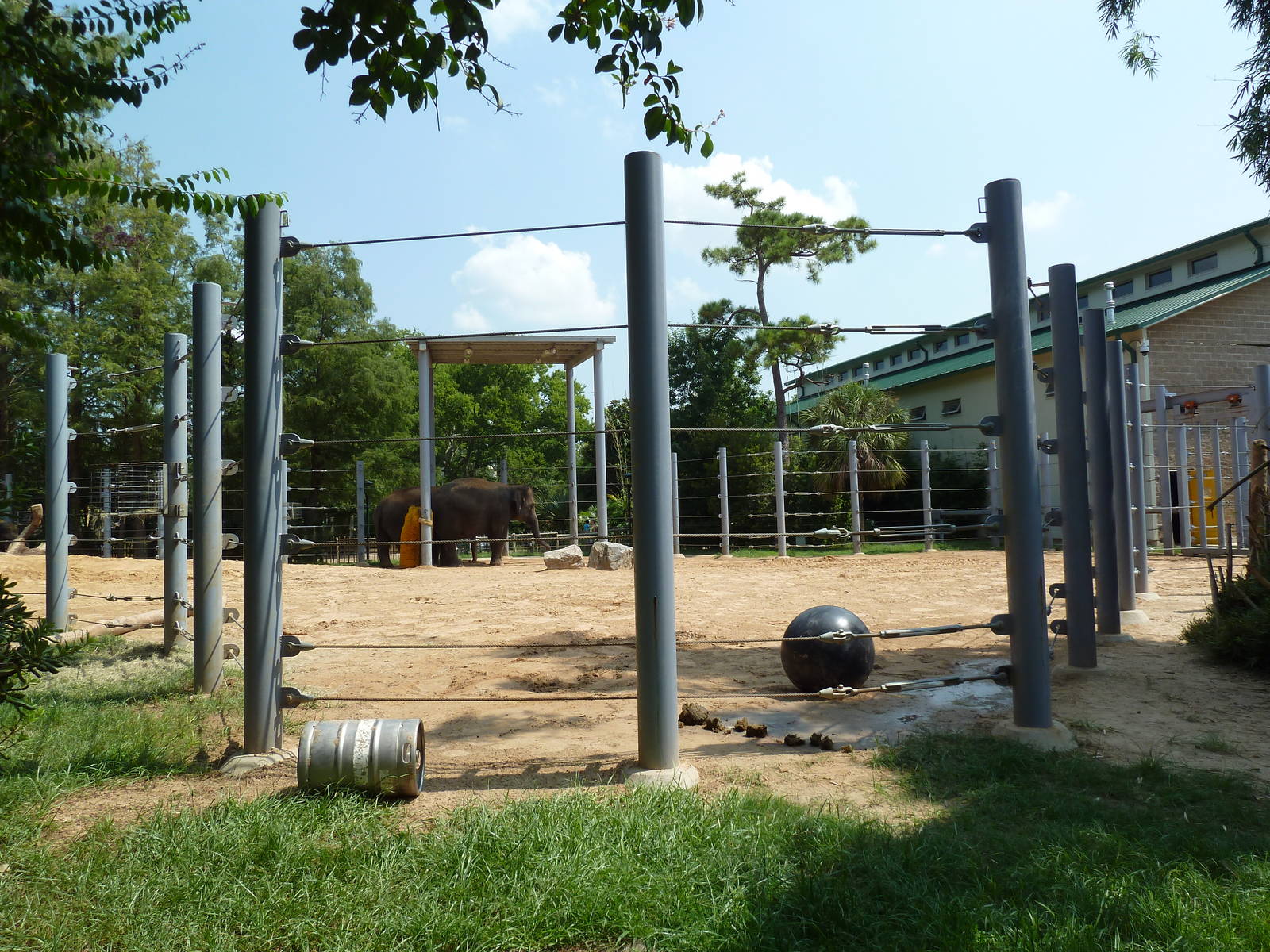 Asian Elephant Exhibit