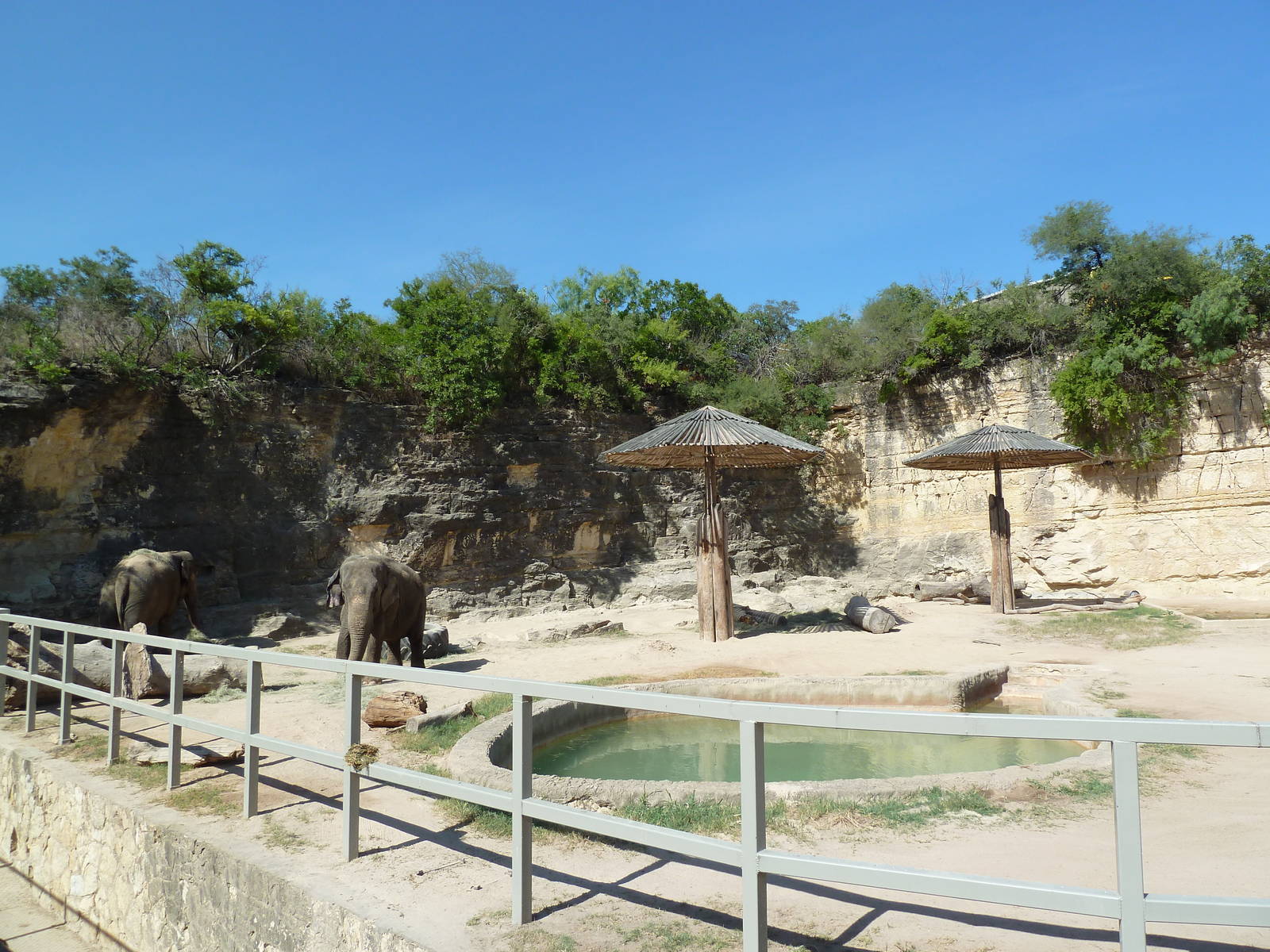 Asian Elephant Exhibit