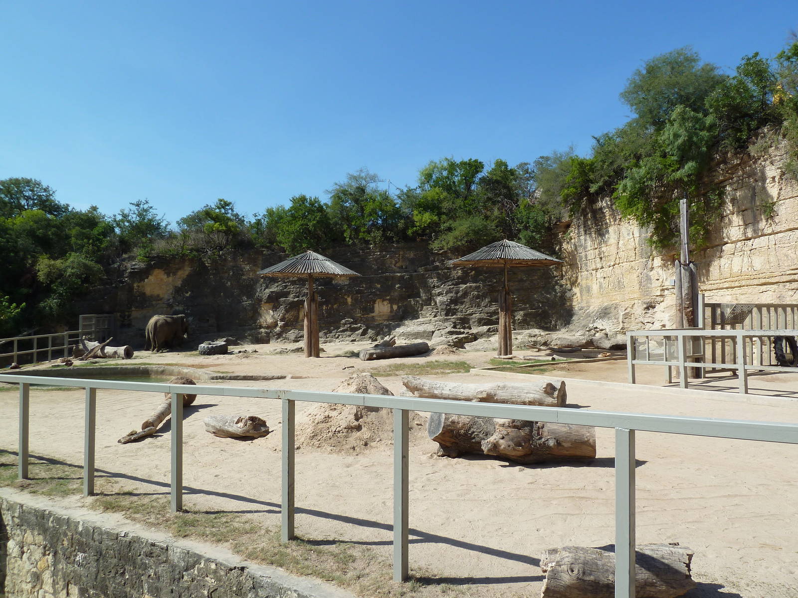 Asian Elephant Exhibit