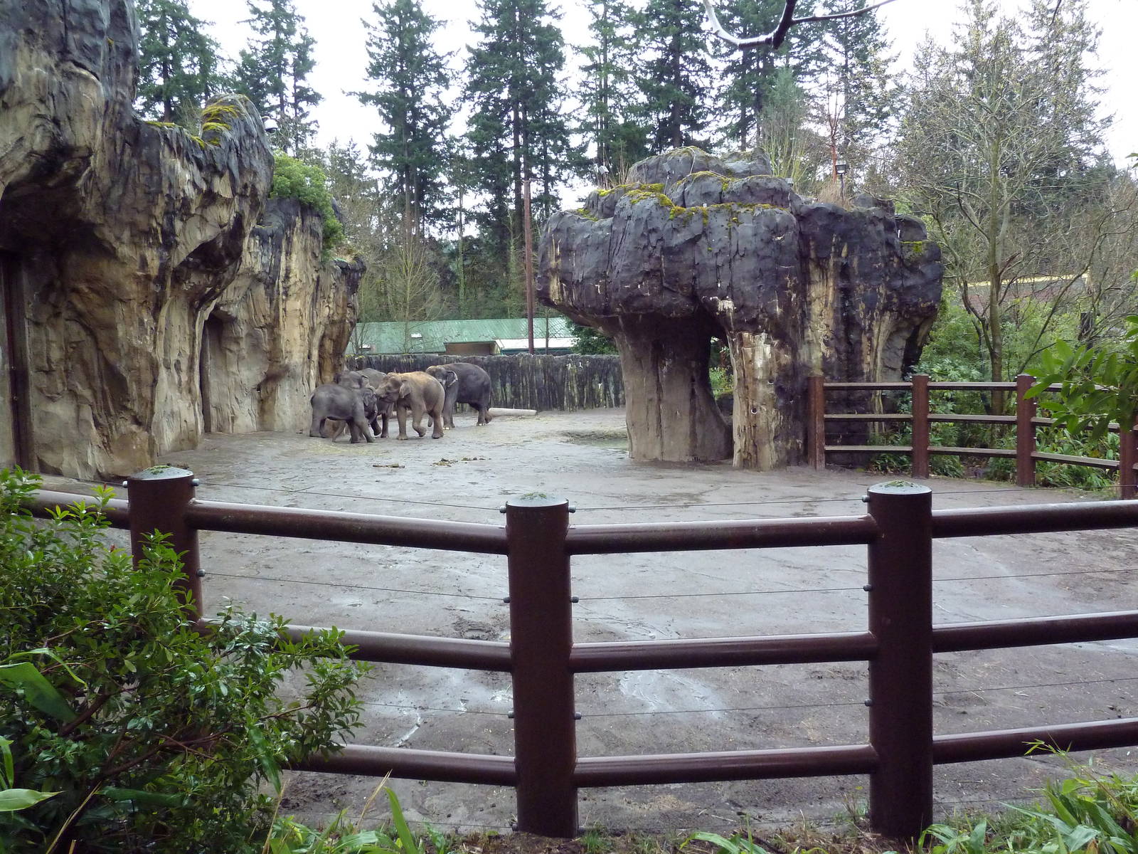 Asian Elephant Exhibit