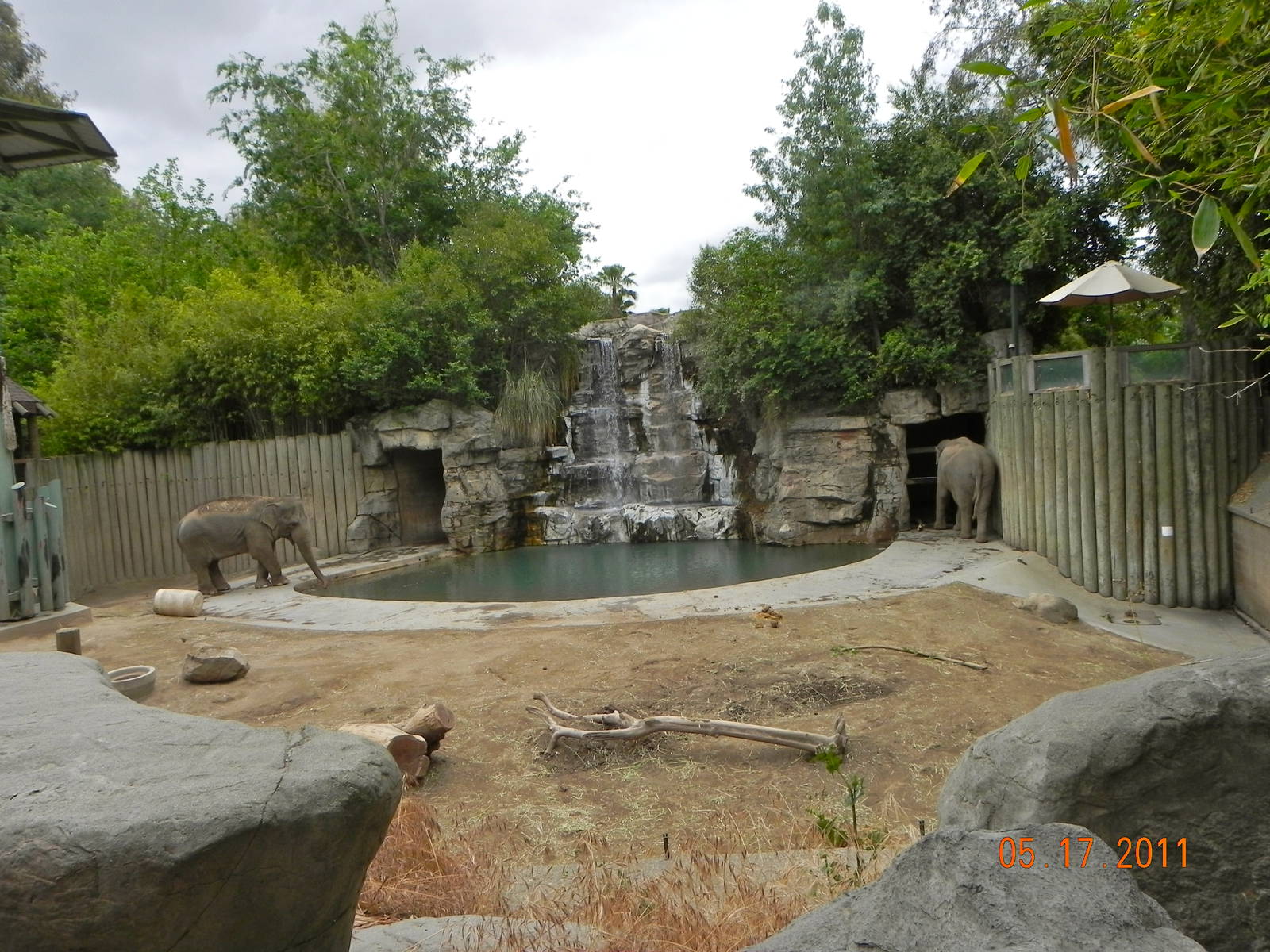Asian elephant exhibit