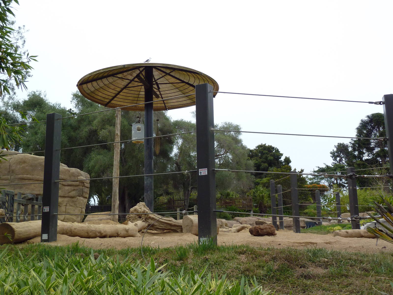 Asian Elephant Exhibit