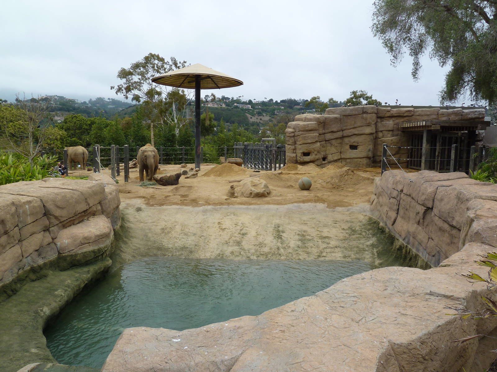 Asian Elephant Exhibit