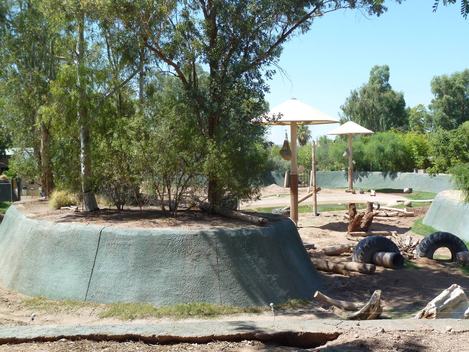 Asian Elephant Exhibit