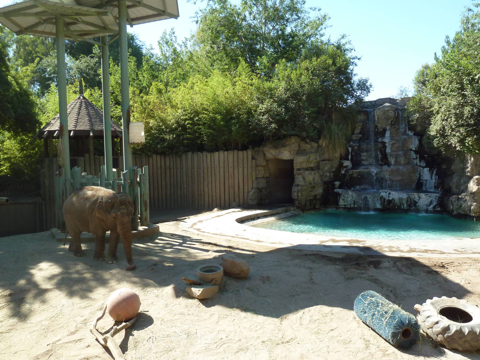 Asian Elephant Exhibit