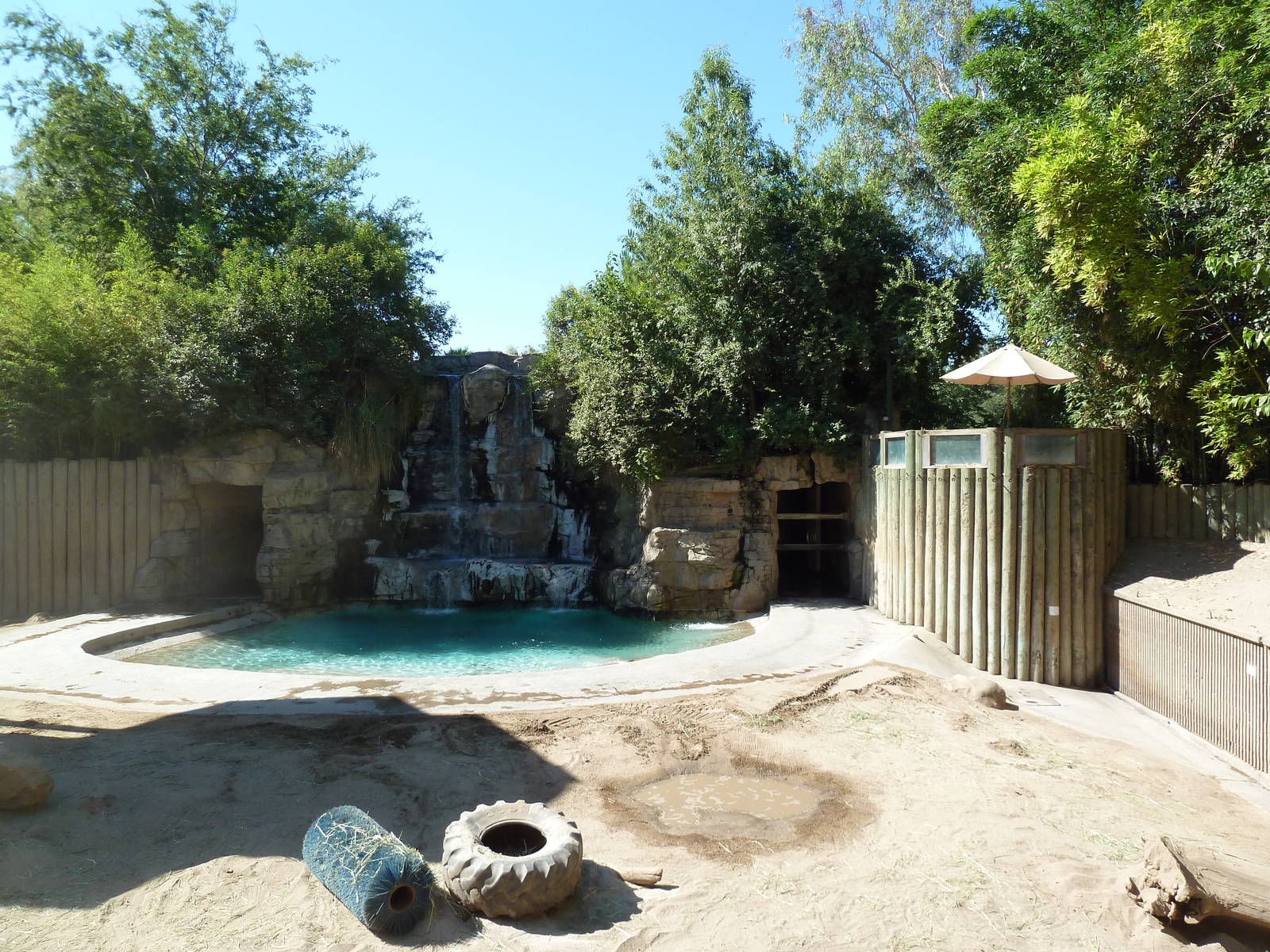 Asian Elephant Exhibit