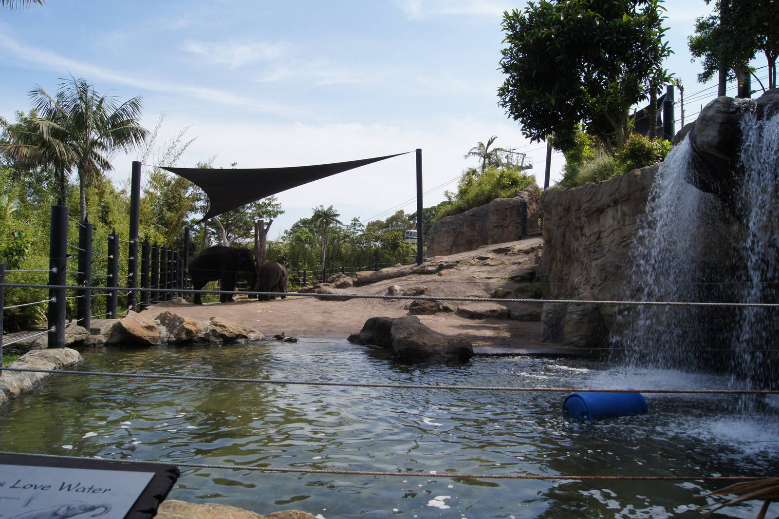 Asian Elephant Exhibit
