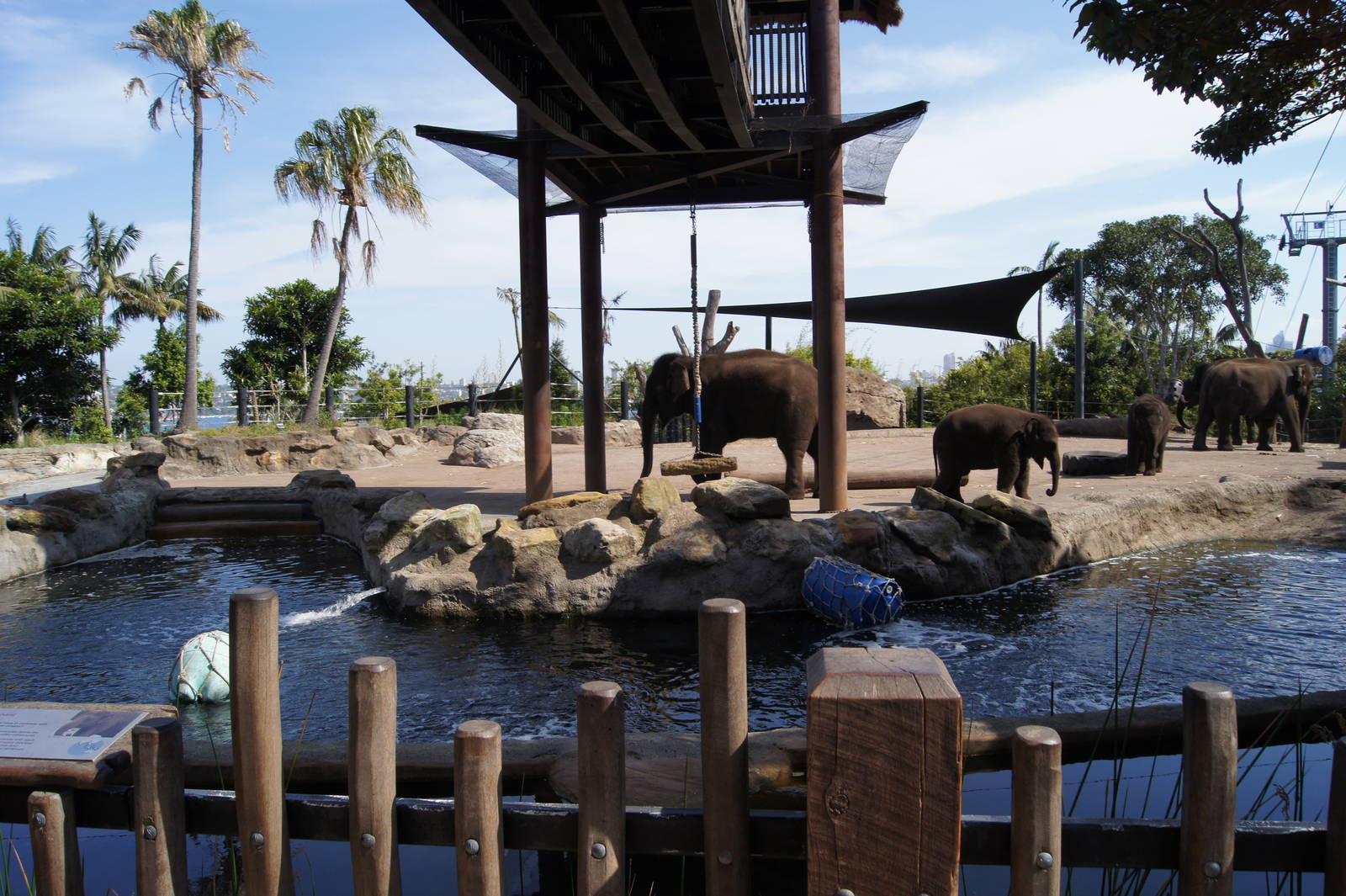 Asian Elephant Exhibit