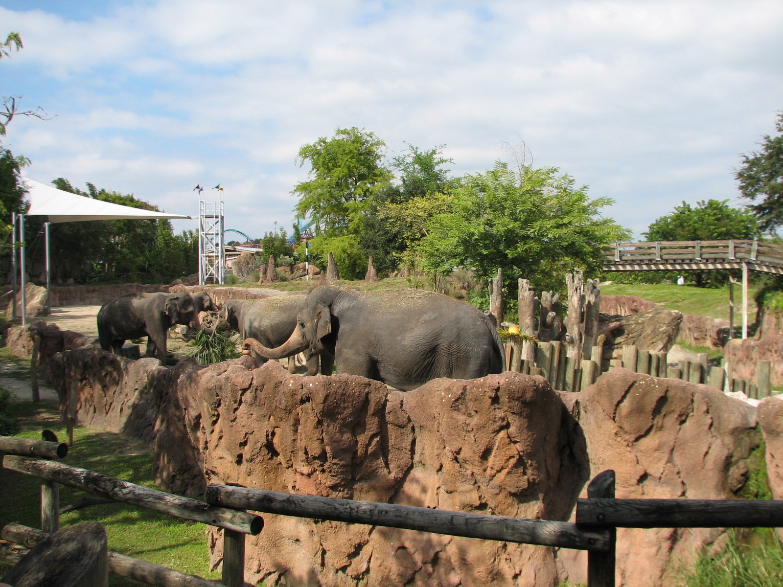Asian Elephant Exhibit