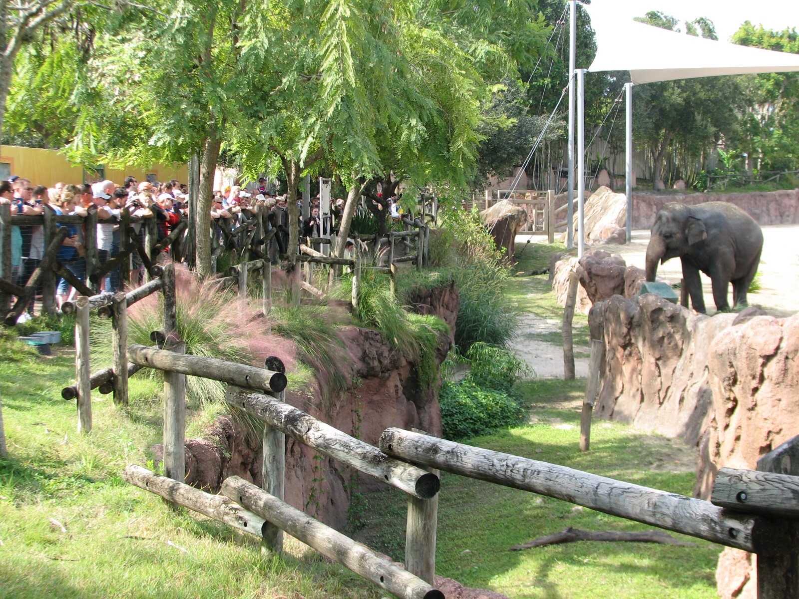Asian Elephant Exhibit