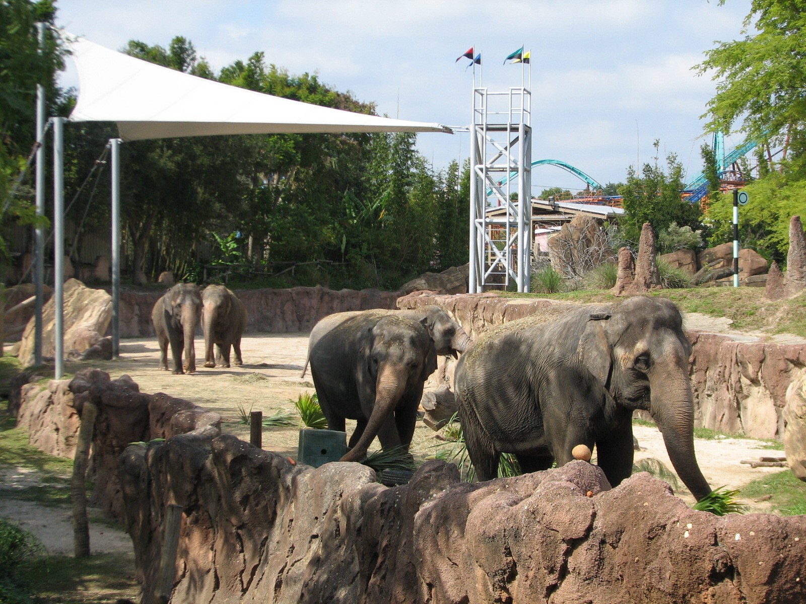 Asian Elephant Exhibit
