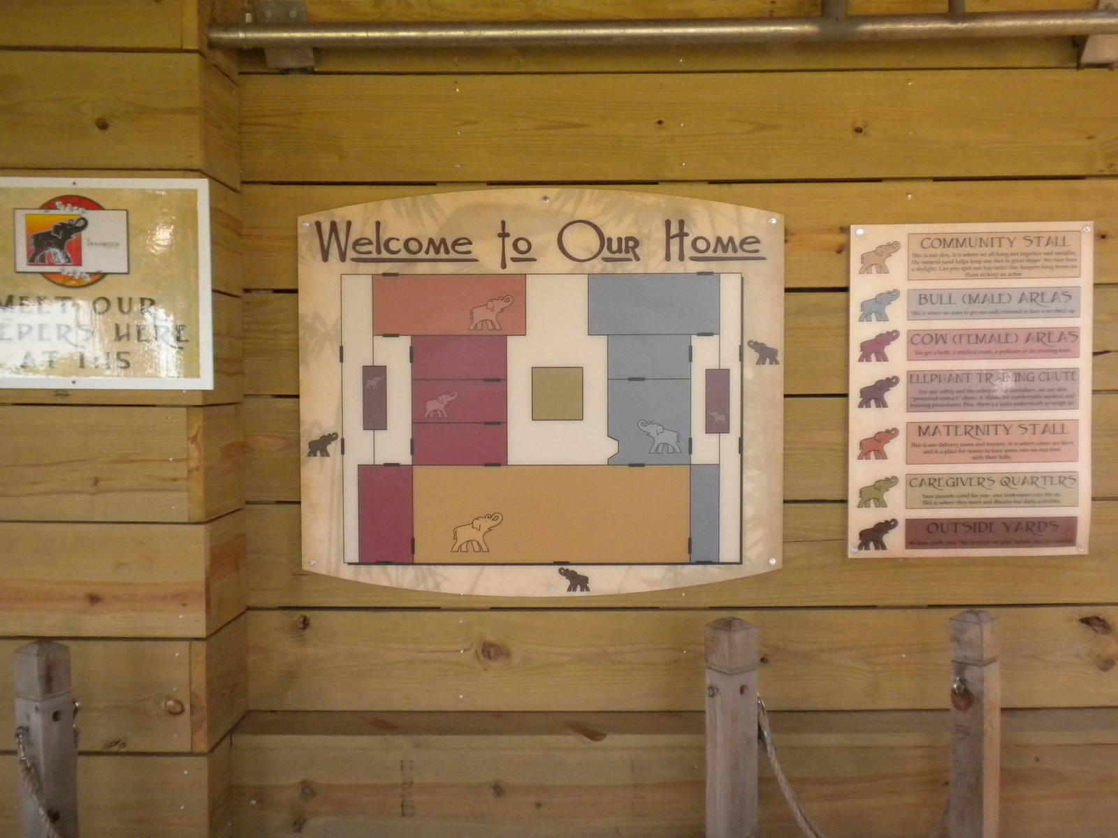 Asian Elephant exhibit