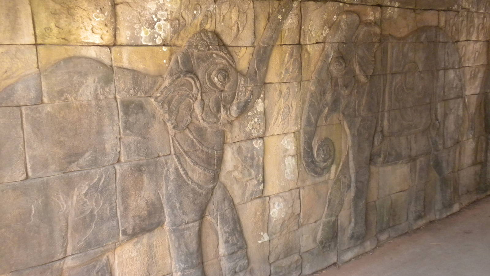 Asian Elephant exhibit