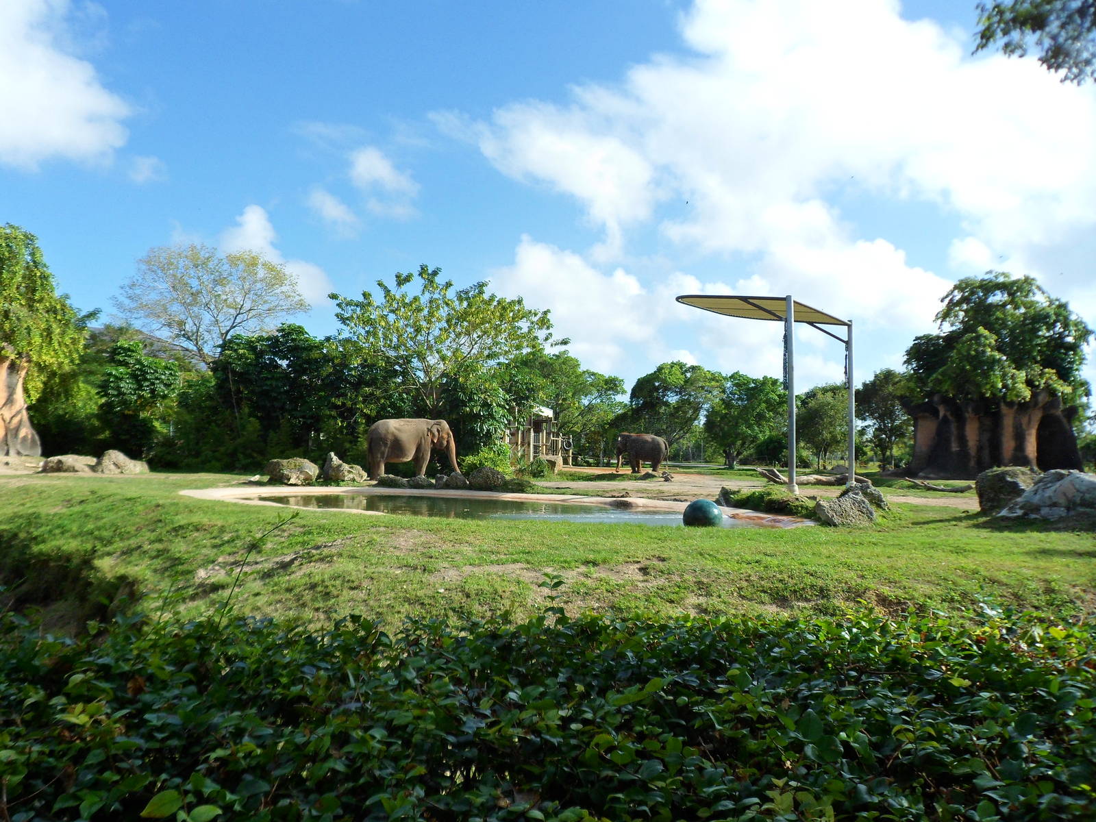 Asian Elephant Exhibit