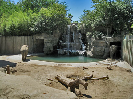 asian elephant exhibit