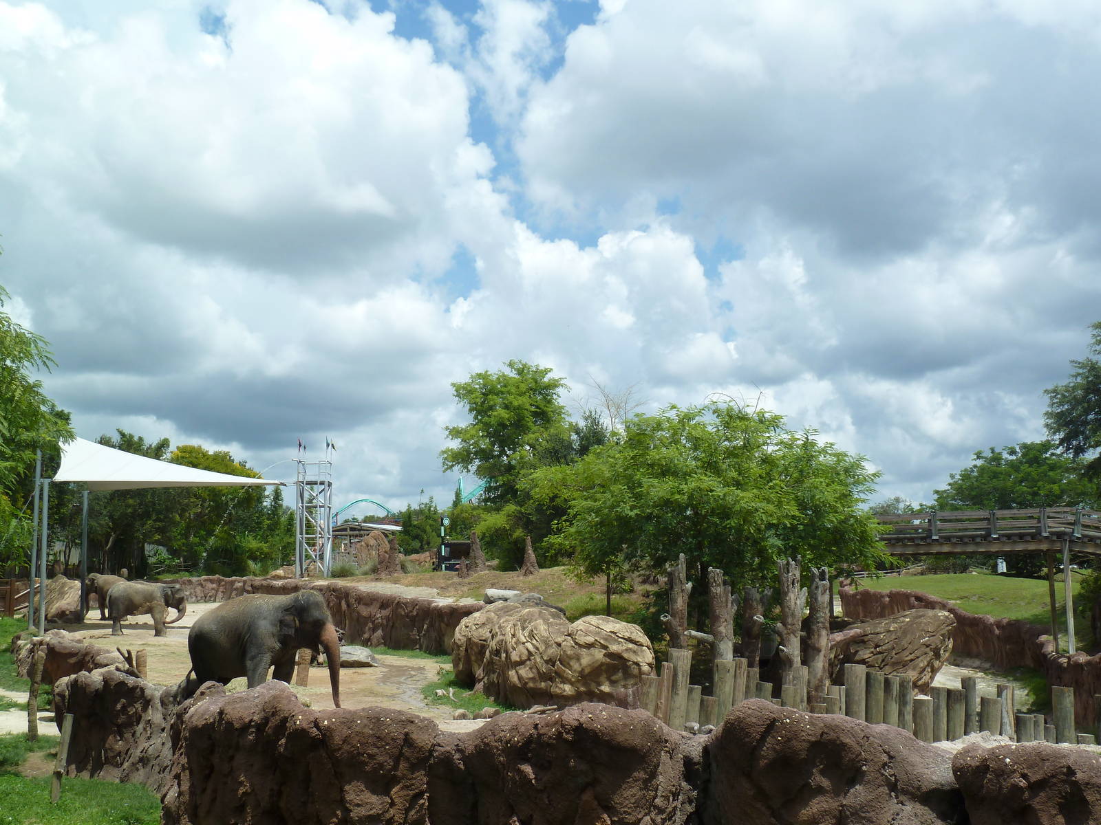 Asian Elephant Exhibit