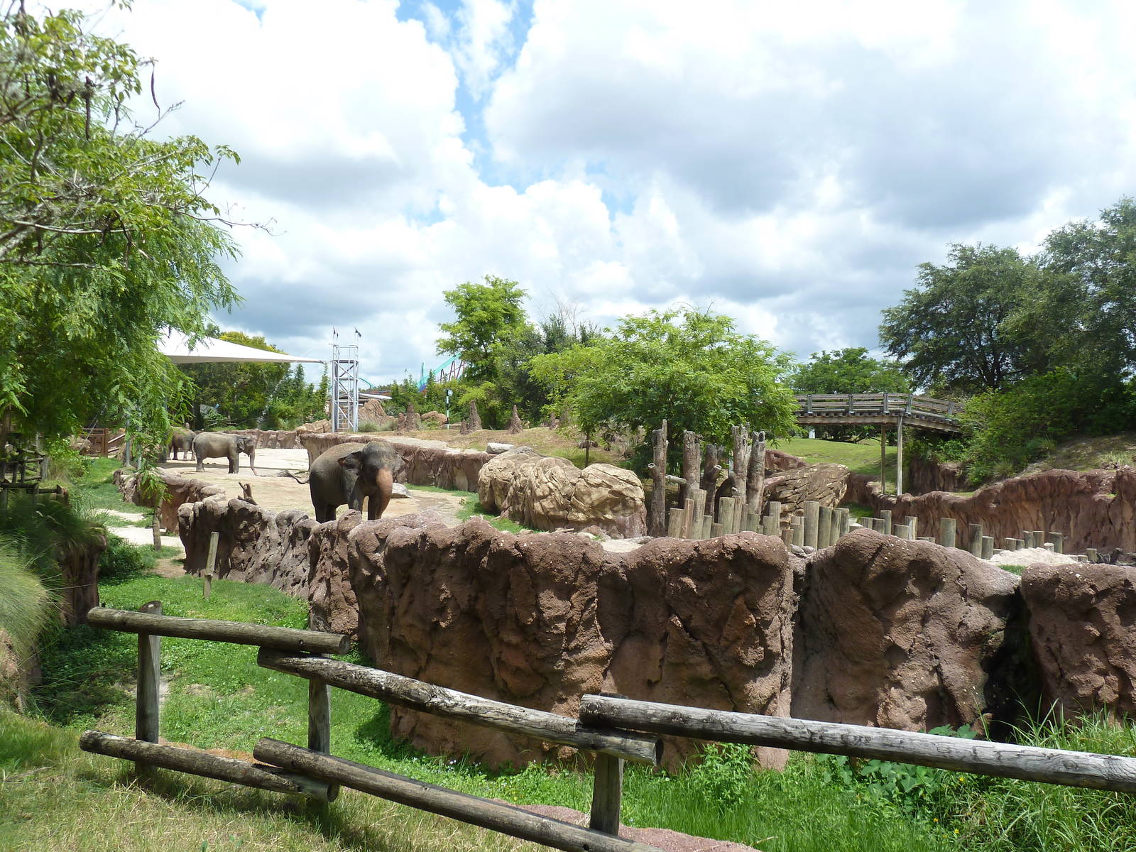 Asian Elephant Exhibit