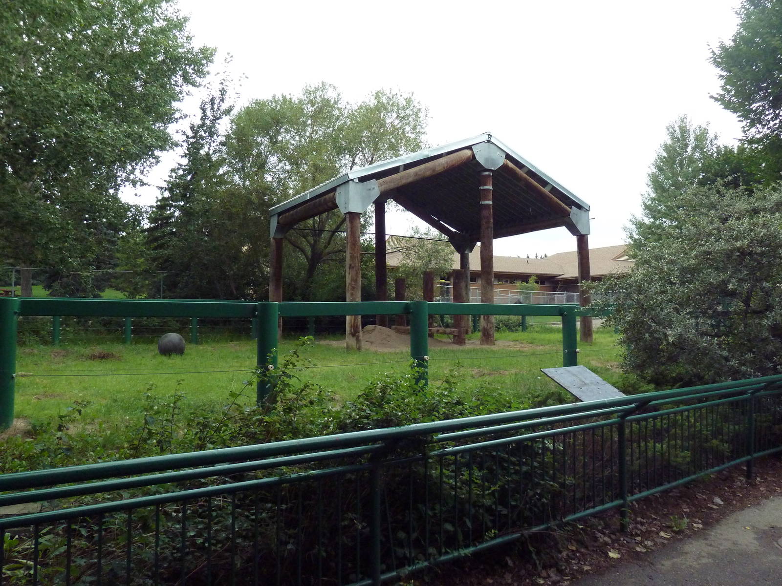 Asian Elephant Exhibit